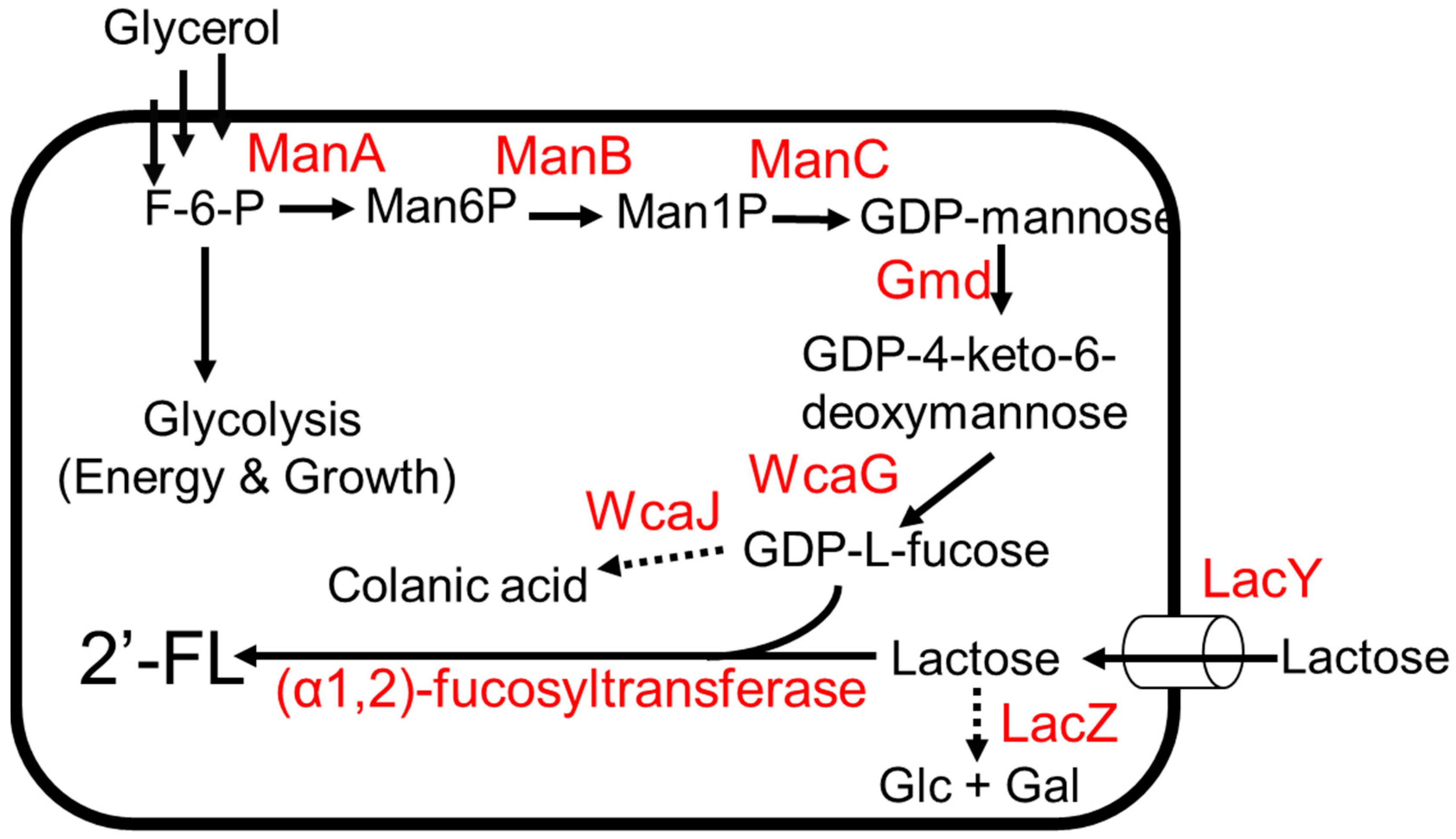 Molecules 28 01491 g002