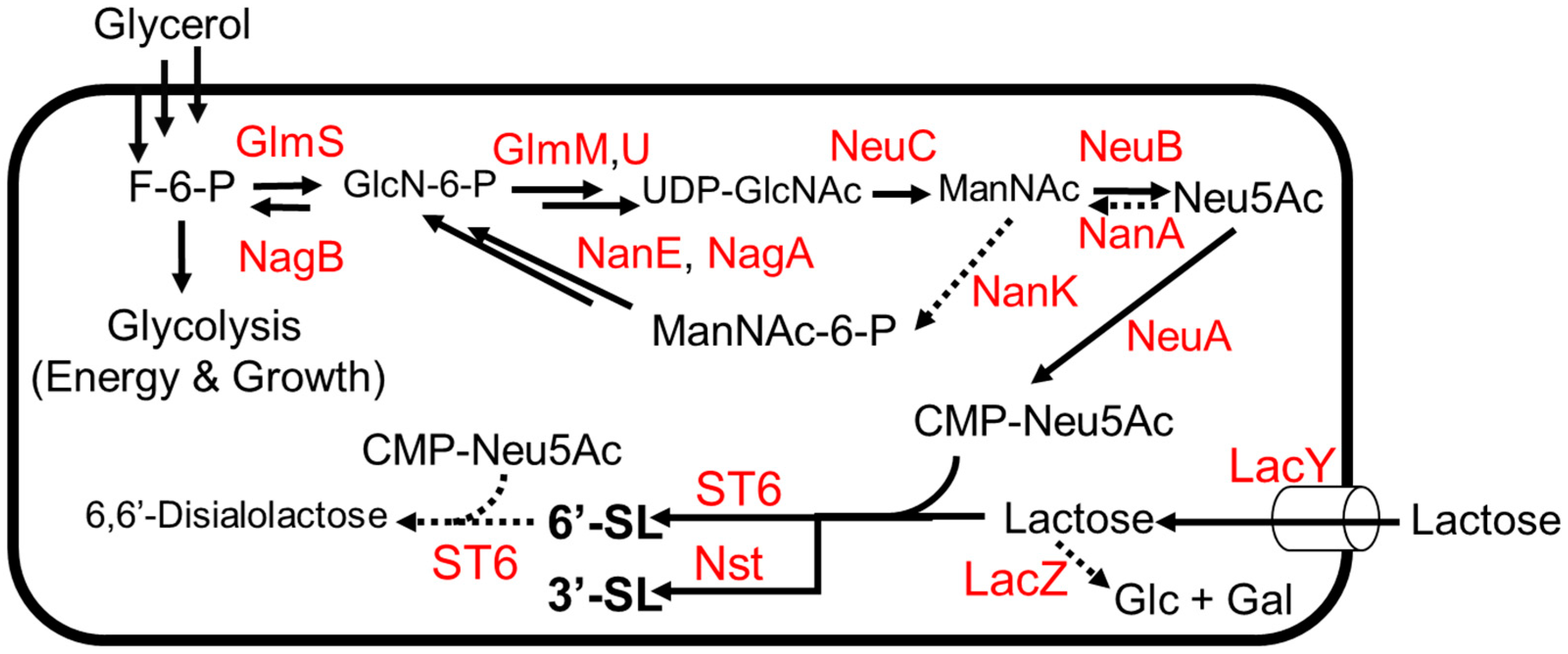 Molecules 28 01491 g005