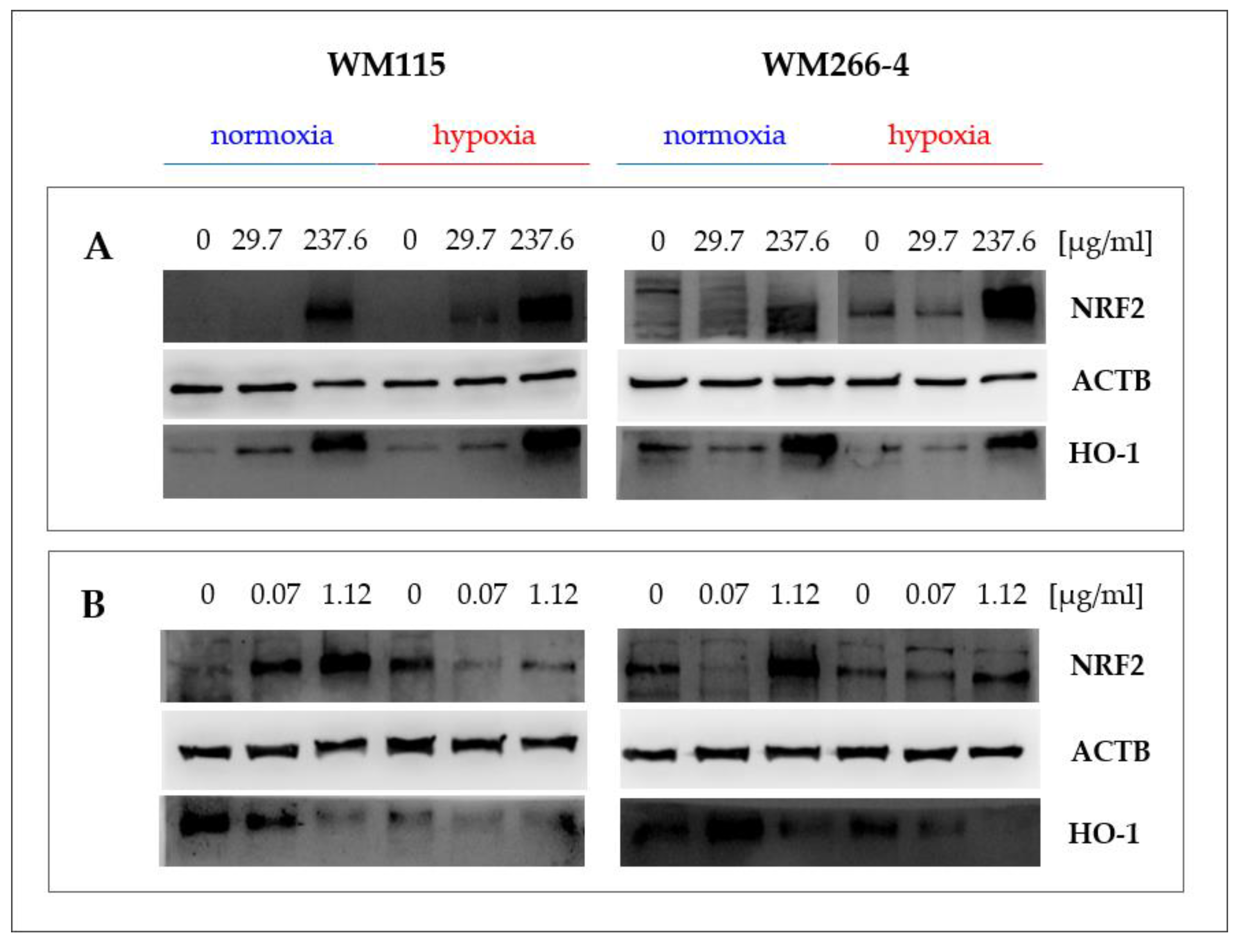 Molecules 28 01509 g006