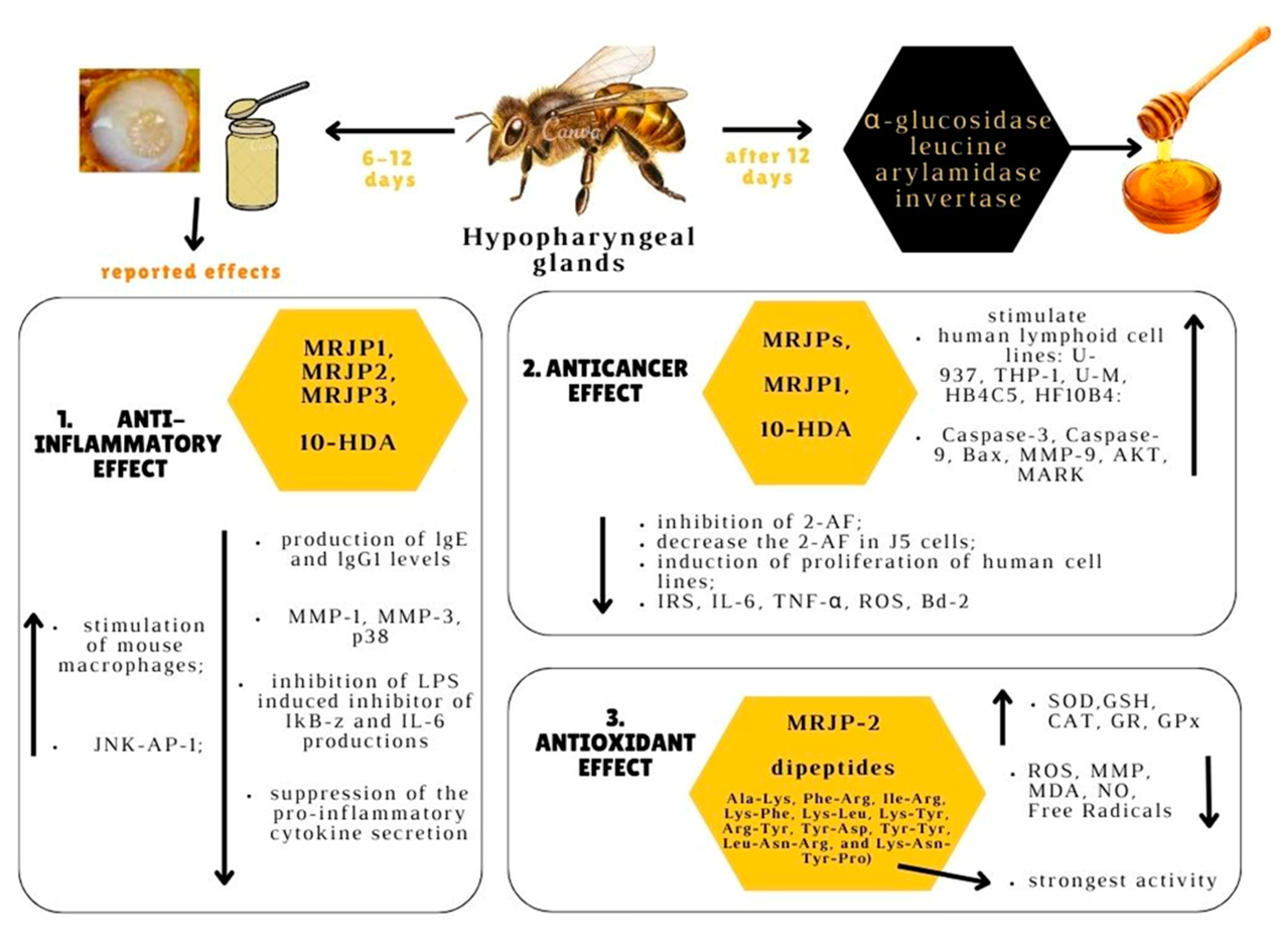 Molecules 28 01510 g001