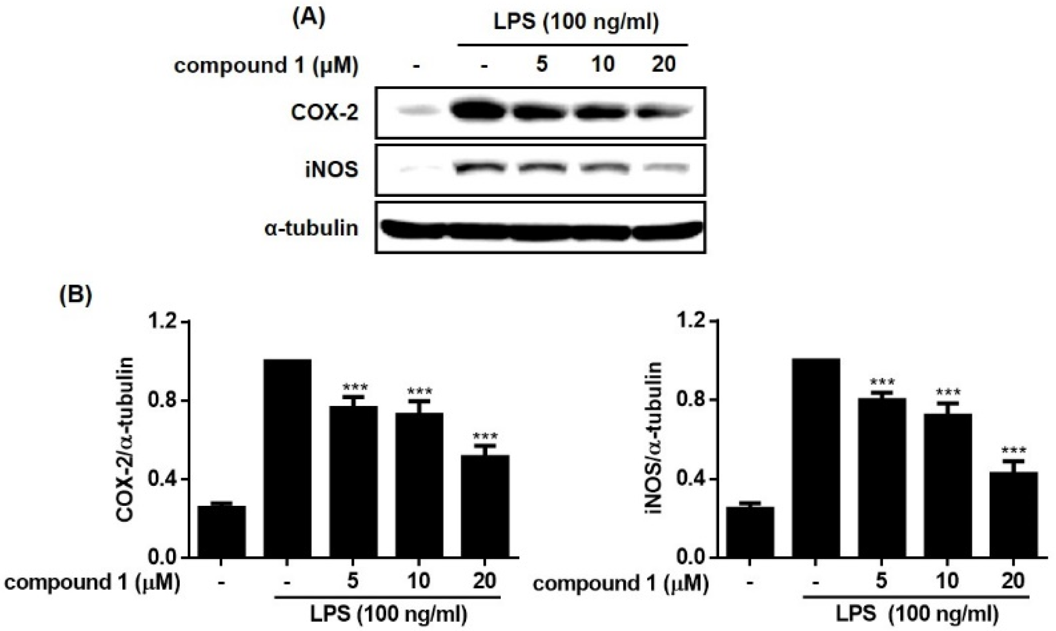Molecules 28 01518 g005