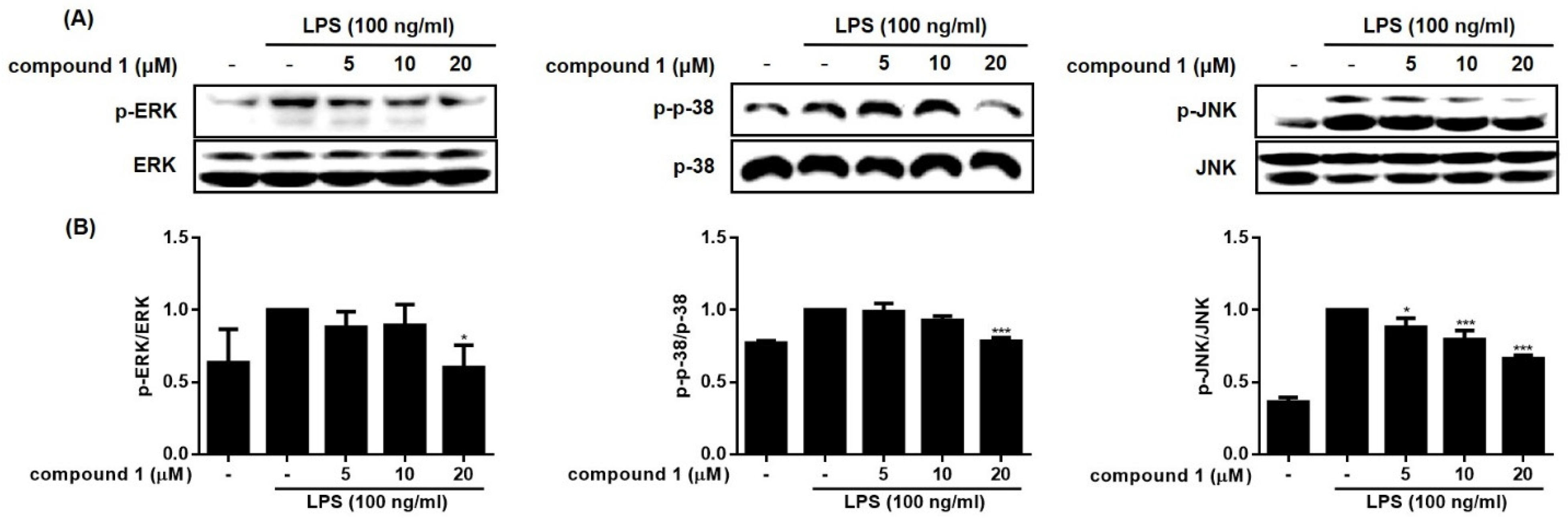 Molecules 28 01518 g006