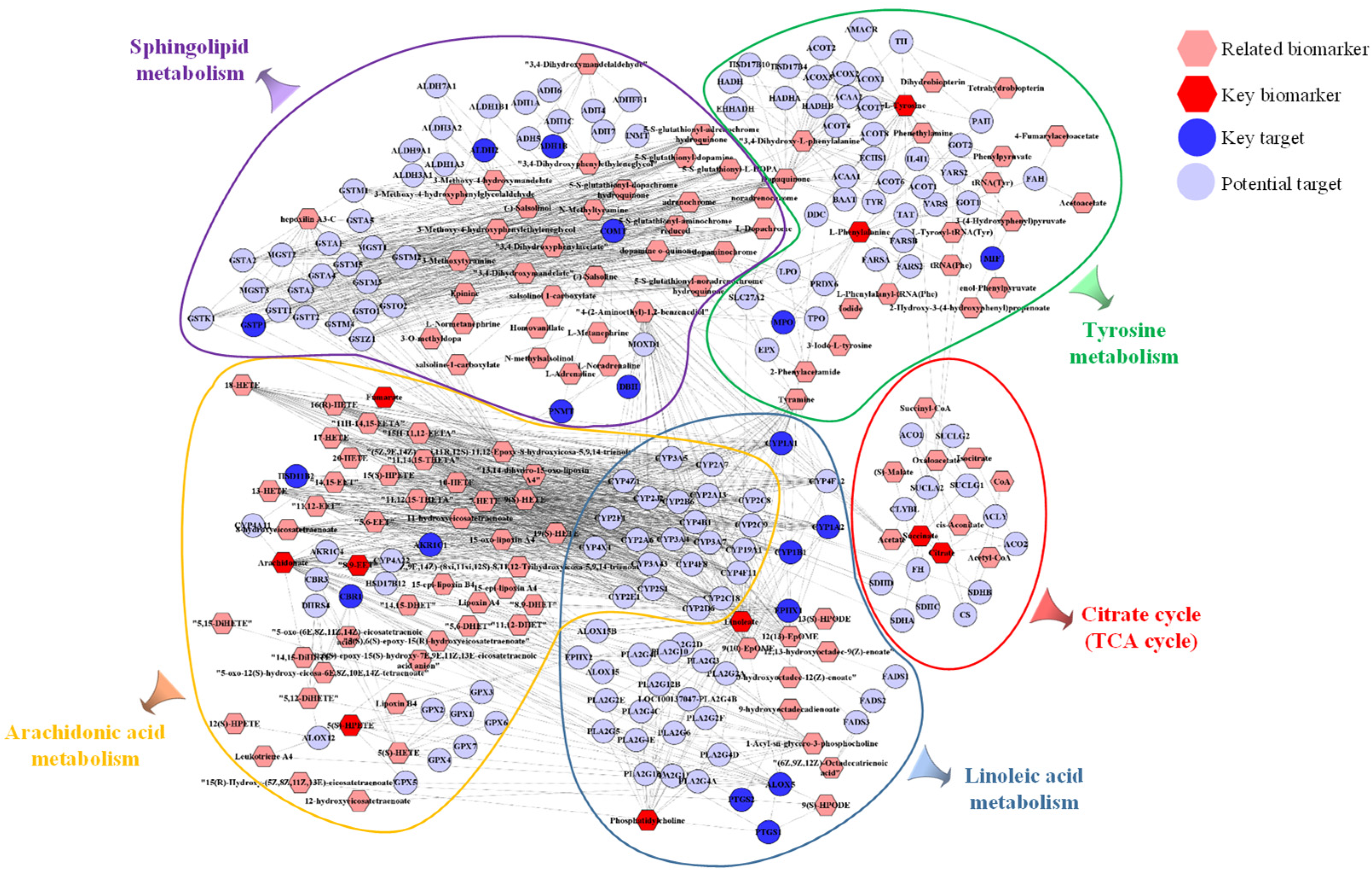 Molecules 28 01526 g011 Molecules 28 01526 g011