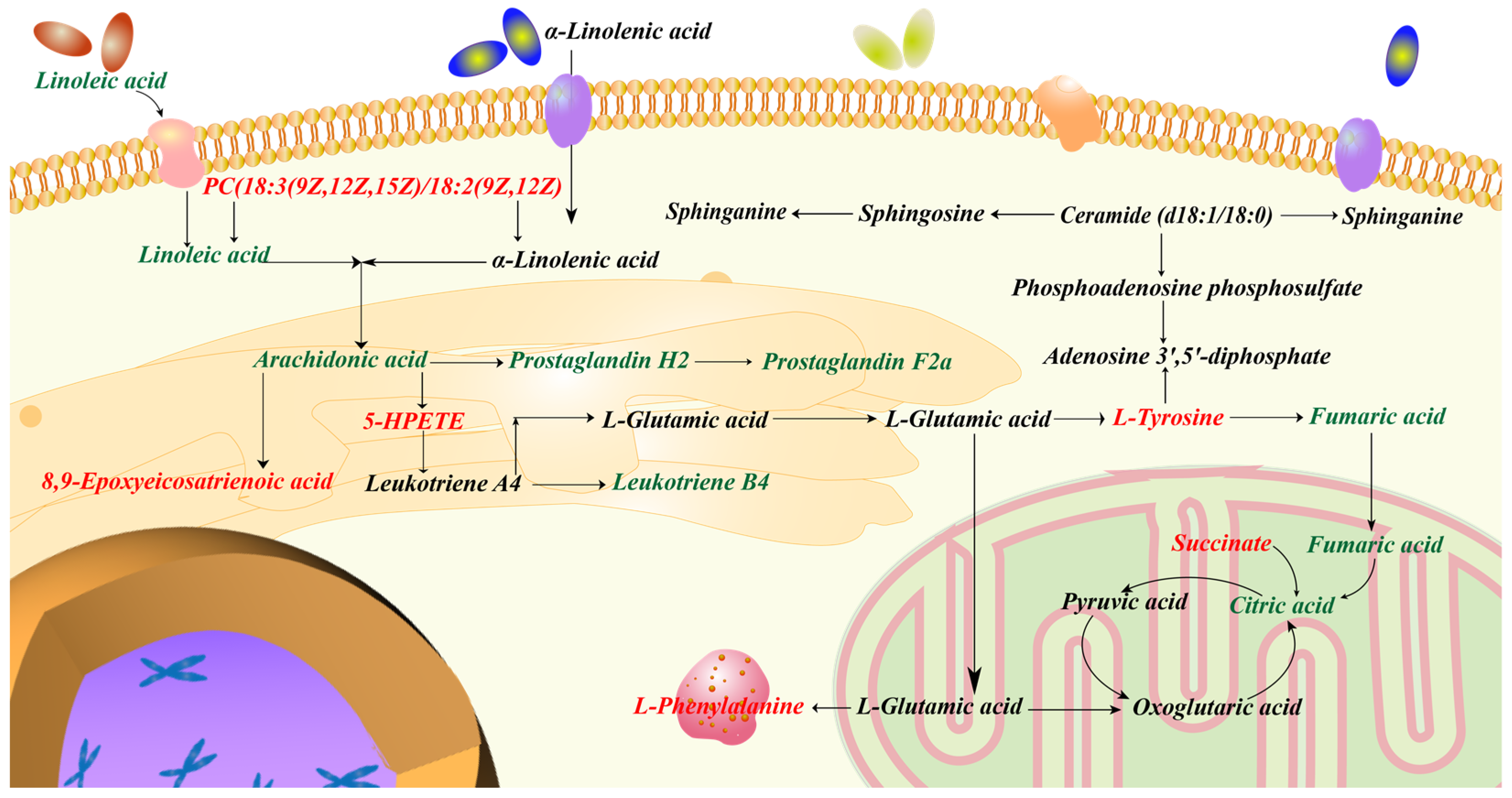 Molecules 28 01526 g012 Molecules 28 01526 g012