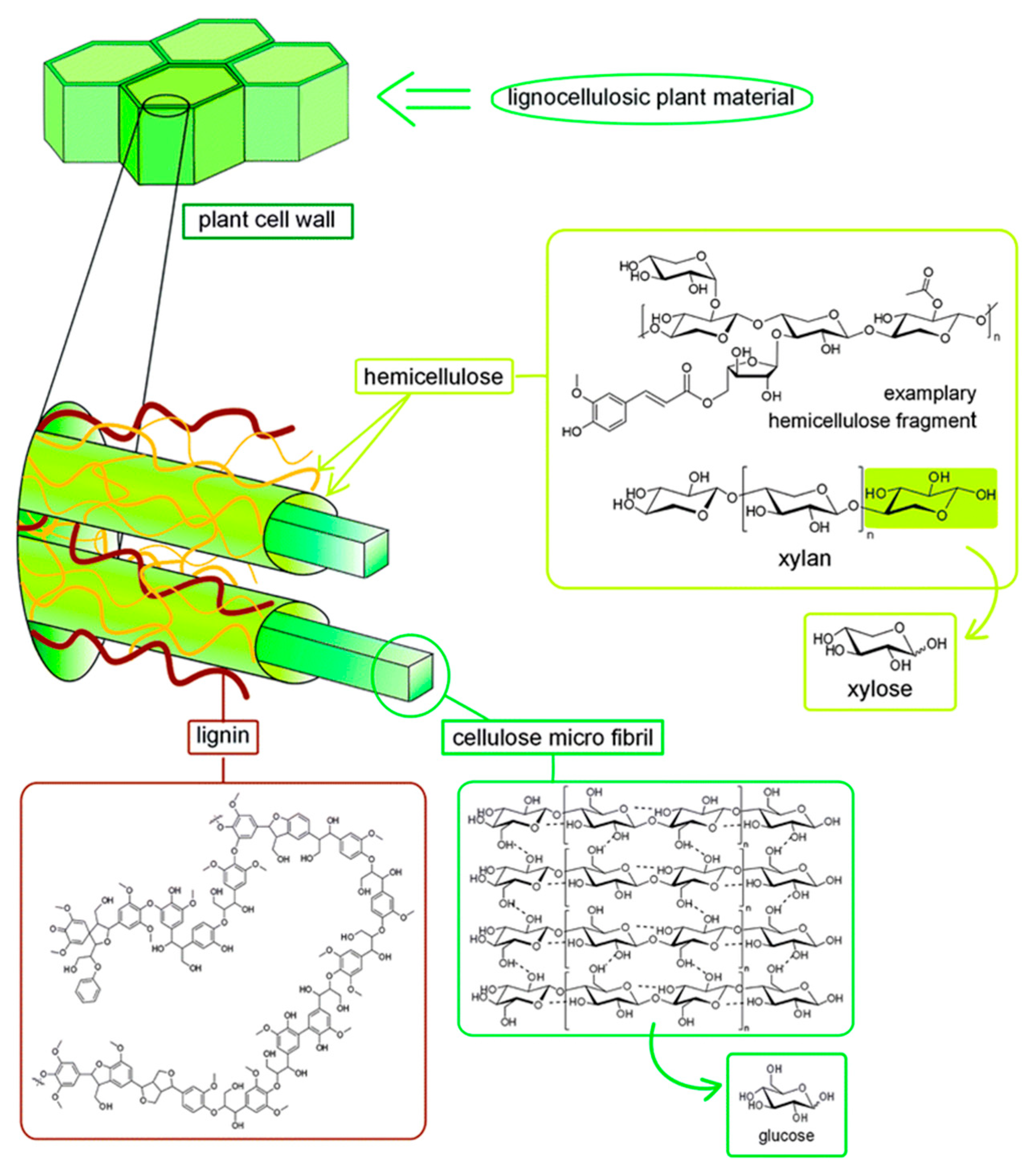 Molecules 28 01527 g003