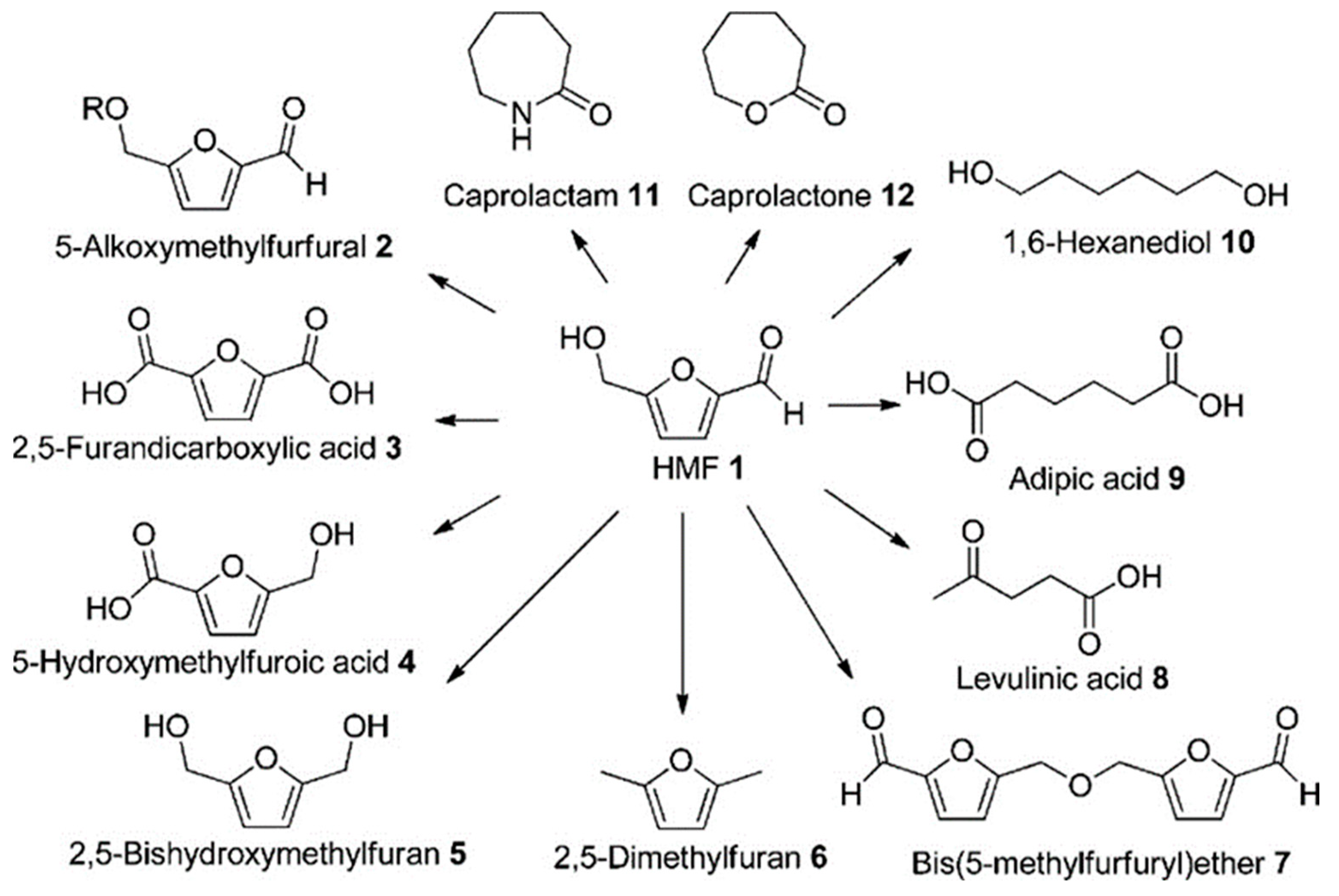 Molecules 28 01527 g007