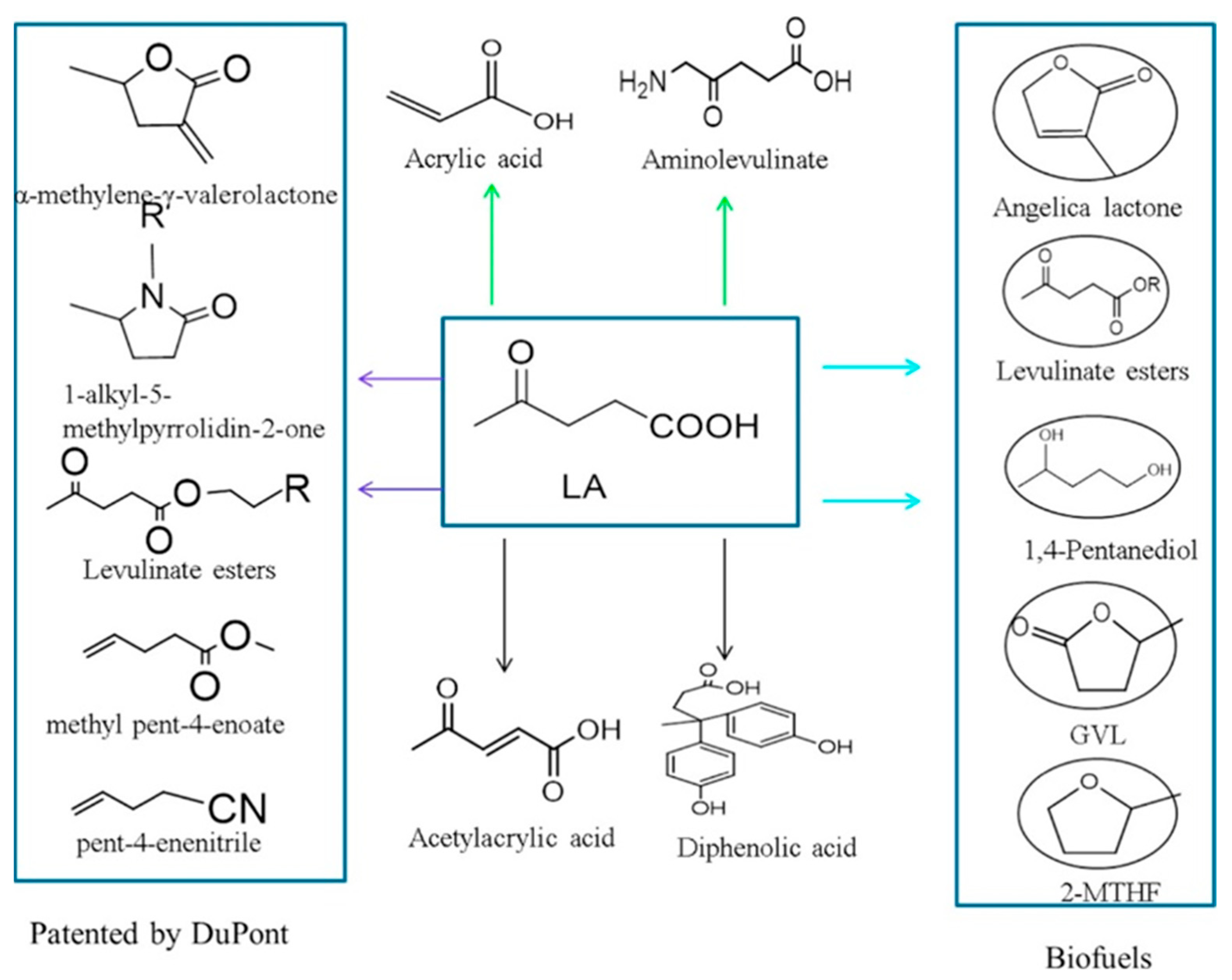 Molecules 28 01527 g008