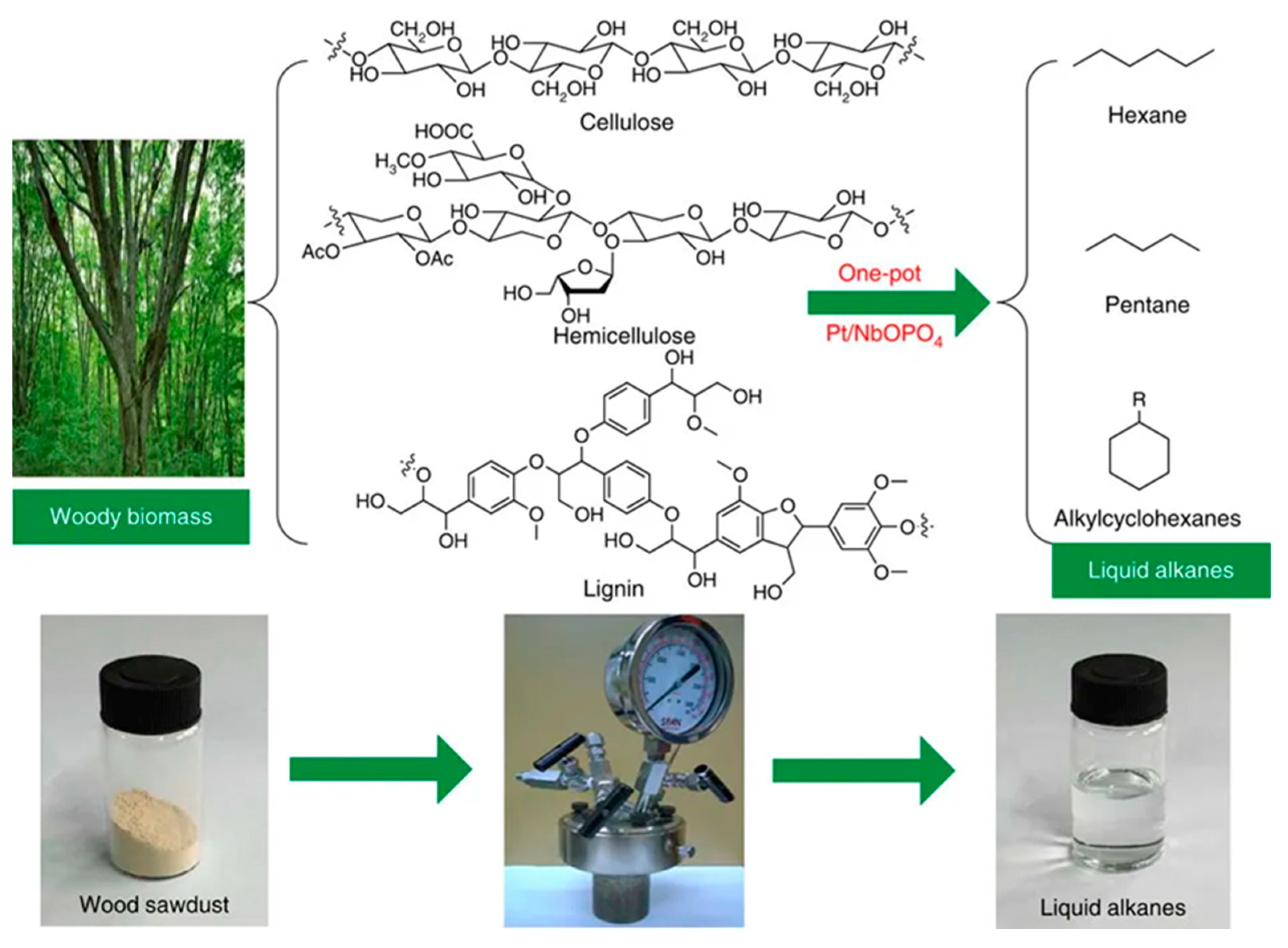 Molecules 28 01527 g011