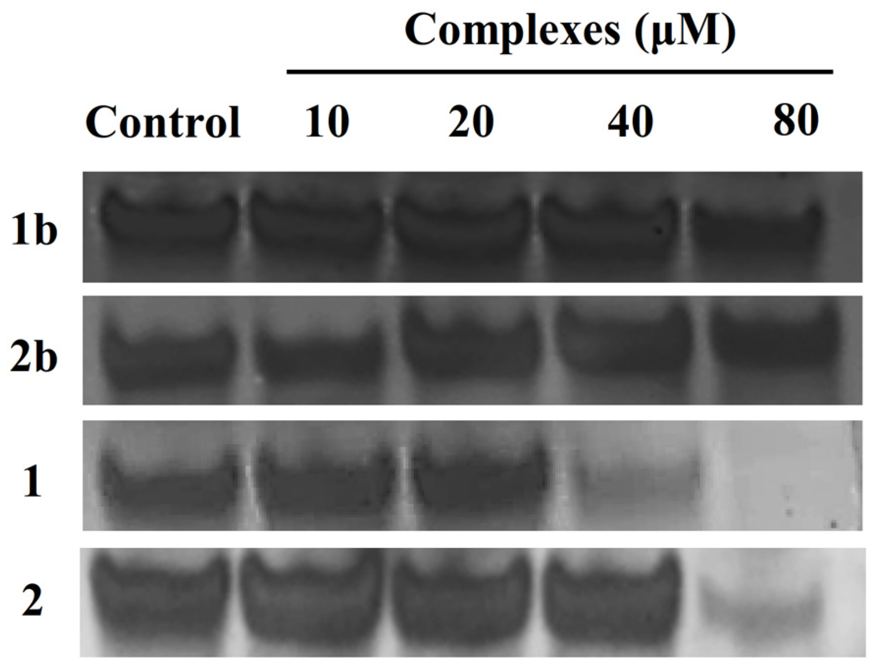 Molecules 28 01529 g006 Molecules 28 01529 g006