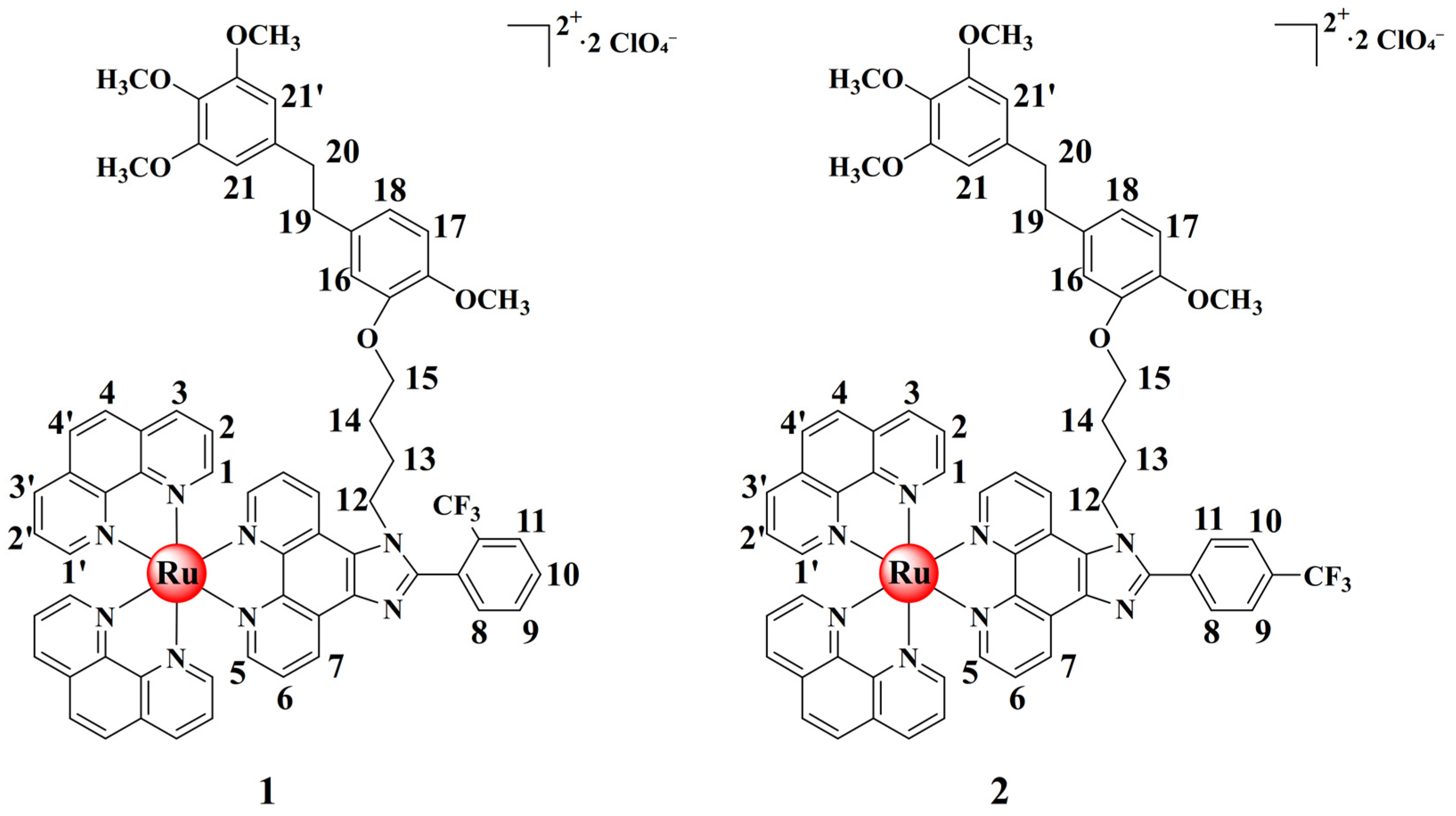 Molecules 28 01529 sch001 Molecules 28 01529 sch001