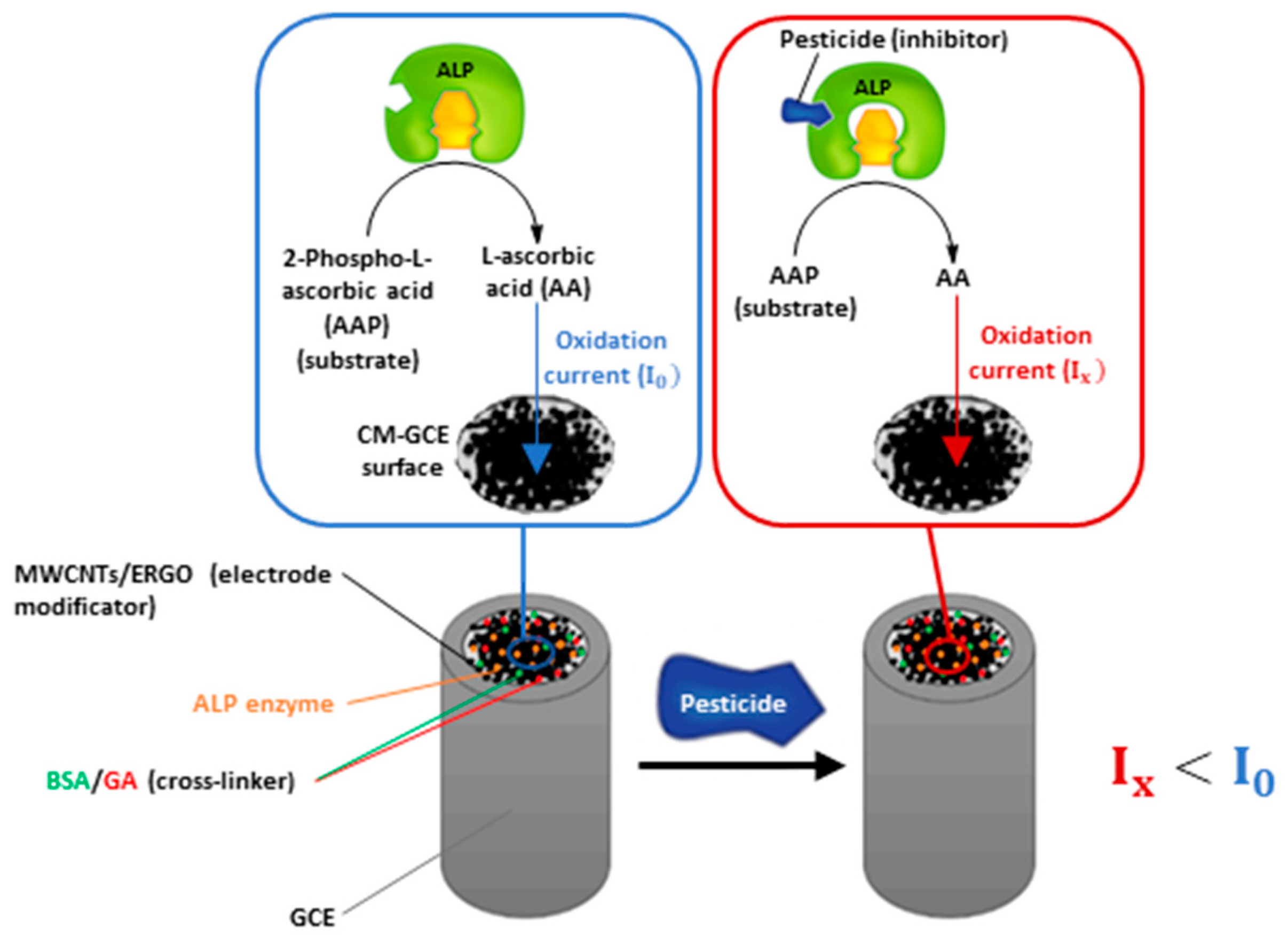 Molecules 28 01532 g001
