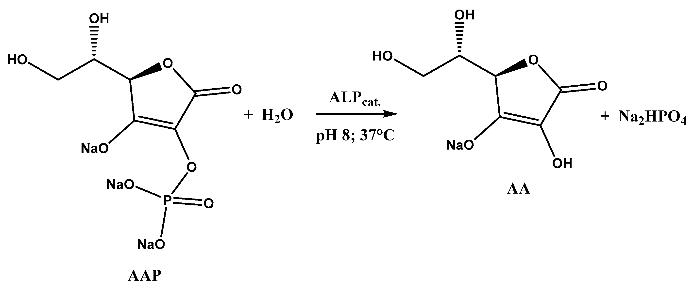 Molecules 28 01532 g005