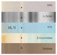 Molecules 28 01535 i003