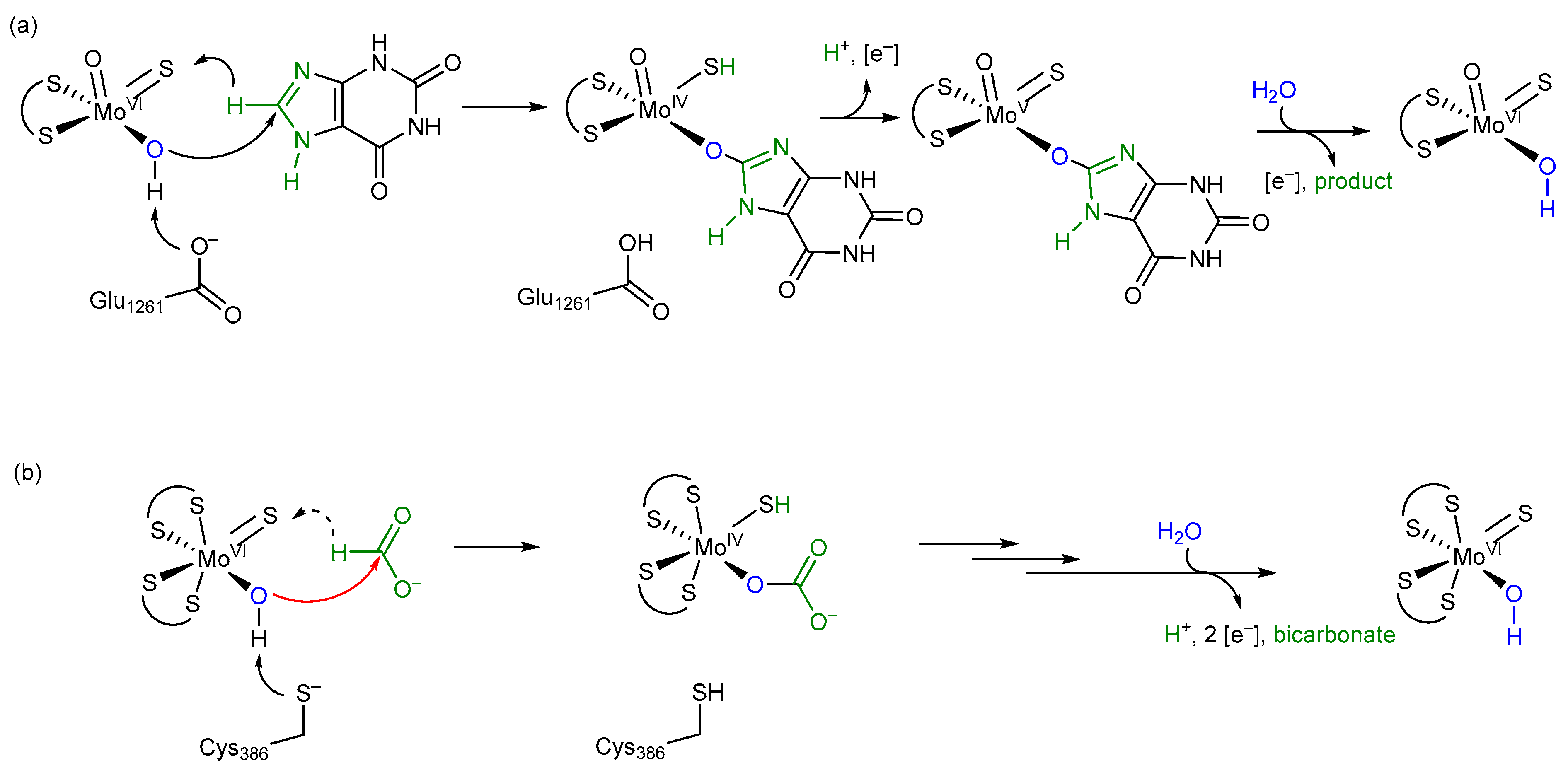 Molecules 28 01537 g008