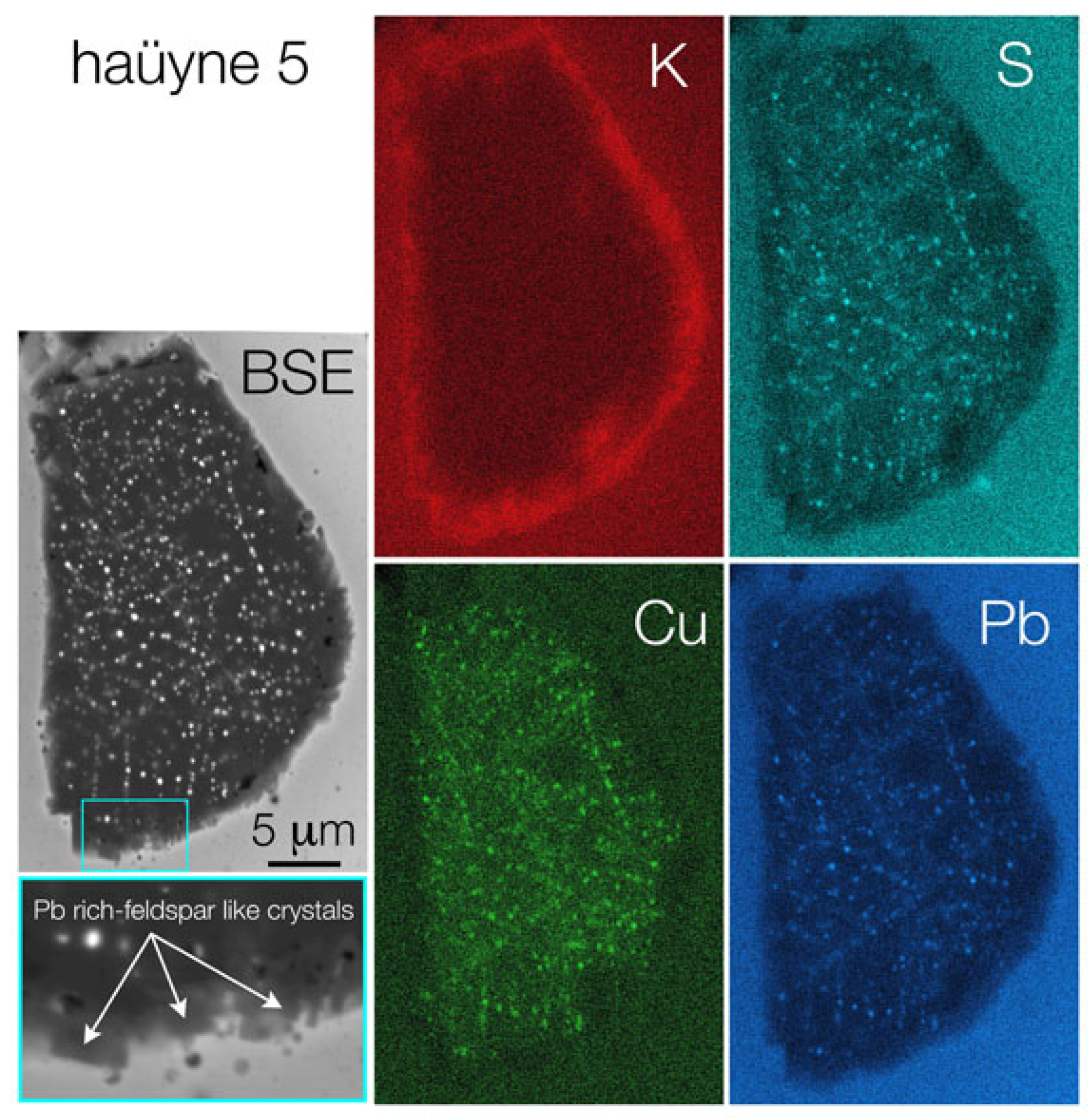 Molecules 28 01546 g006