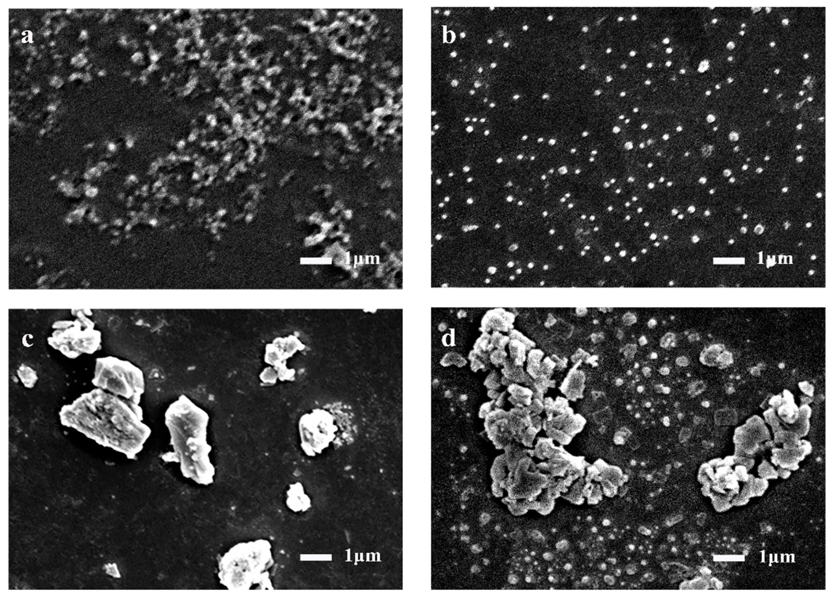 Molecules 28 01554 g002 Molecules 28 01554 g002