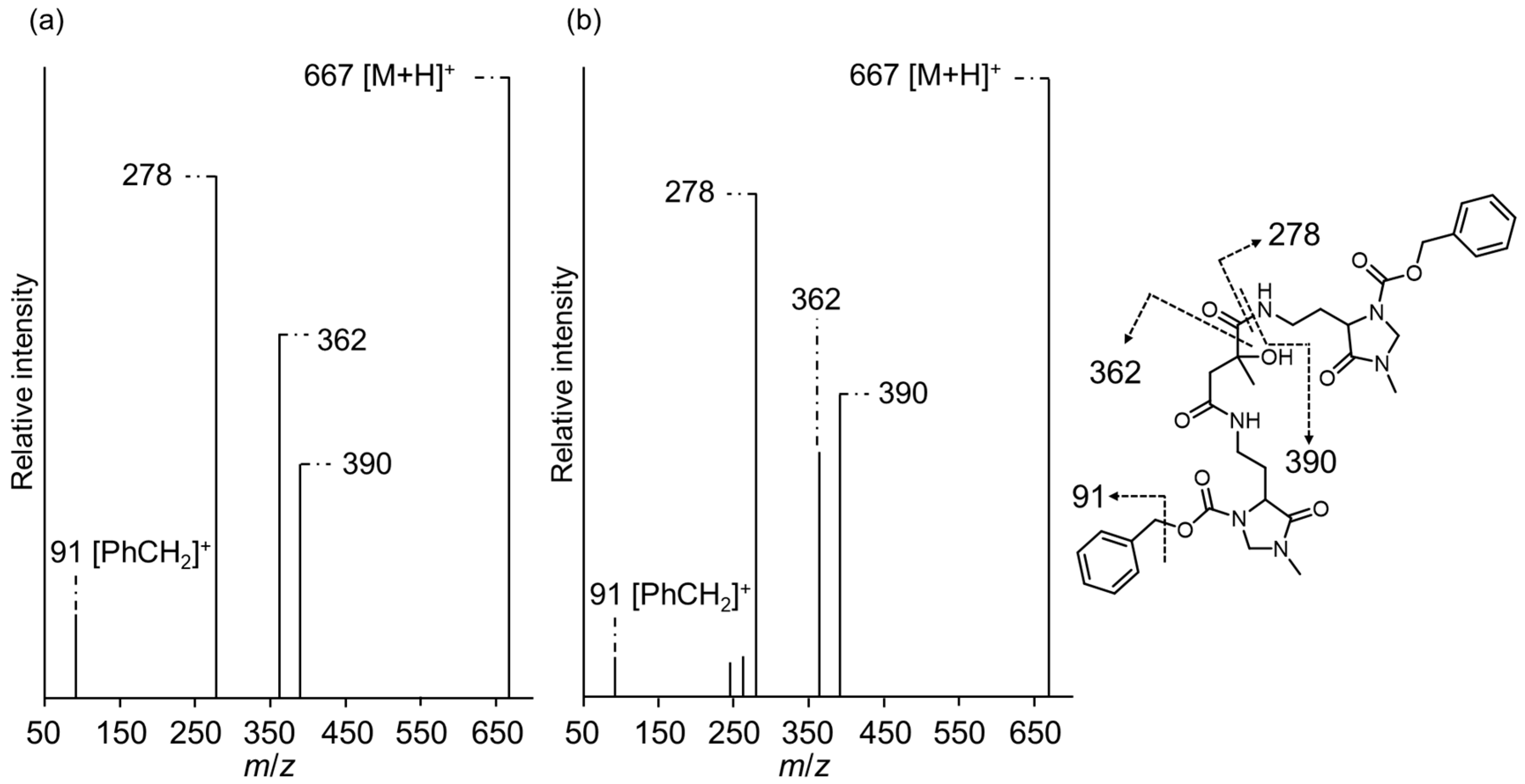 Molecules 28 01556 g001