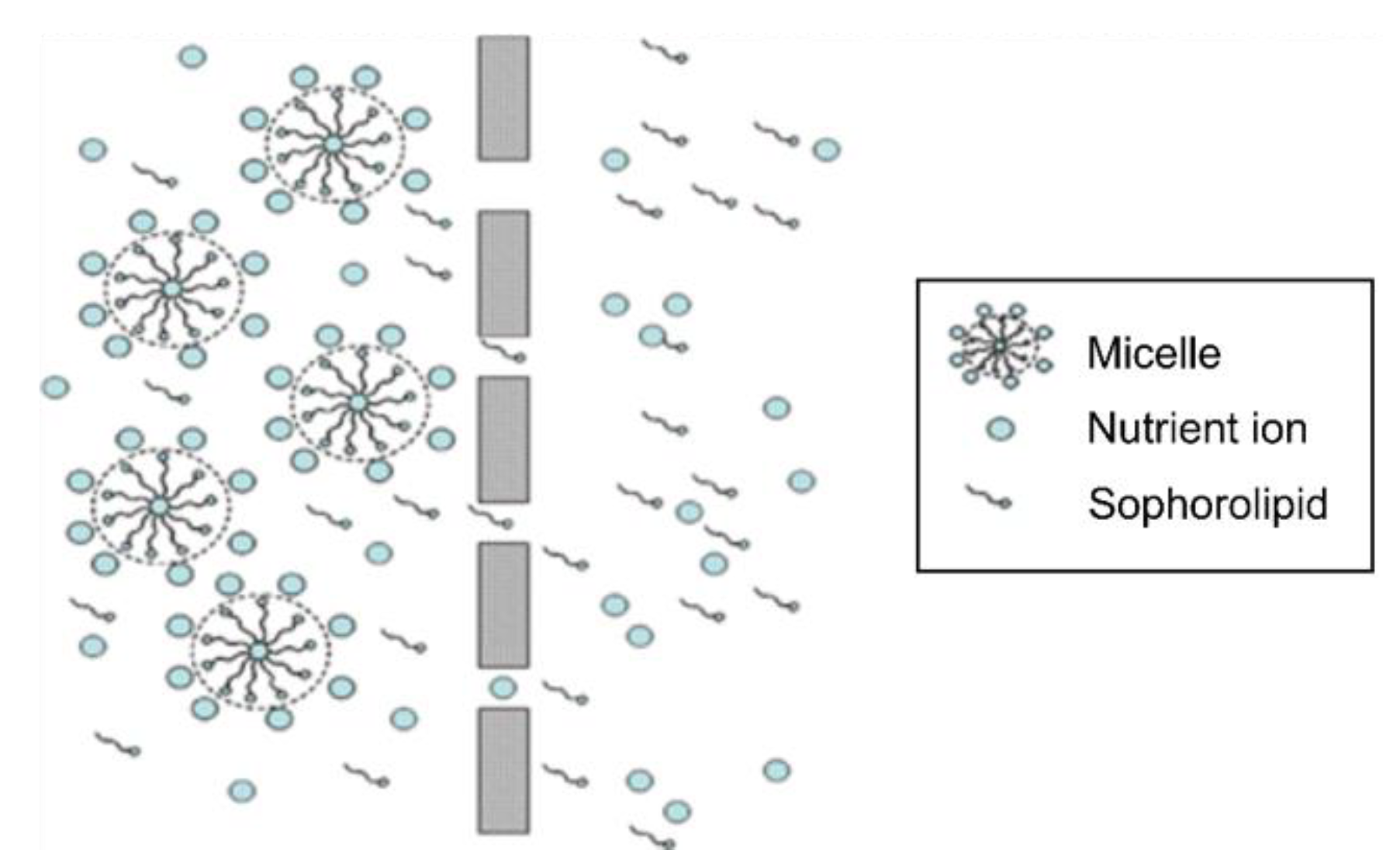 Molecules 28 01559 g001