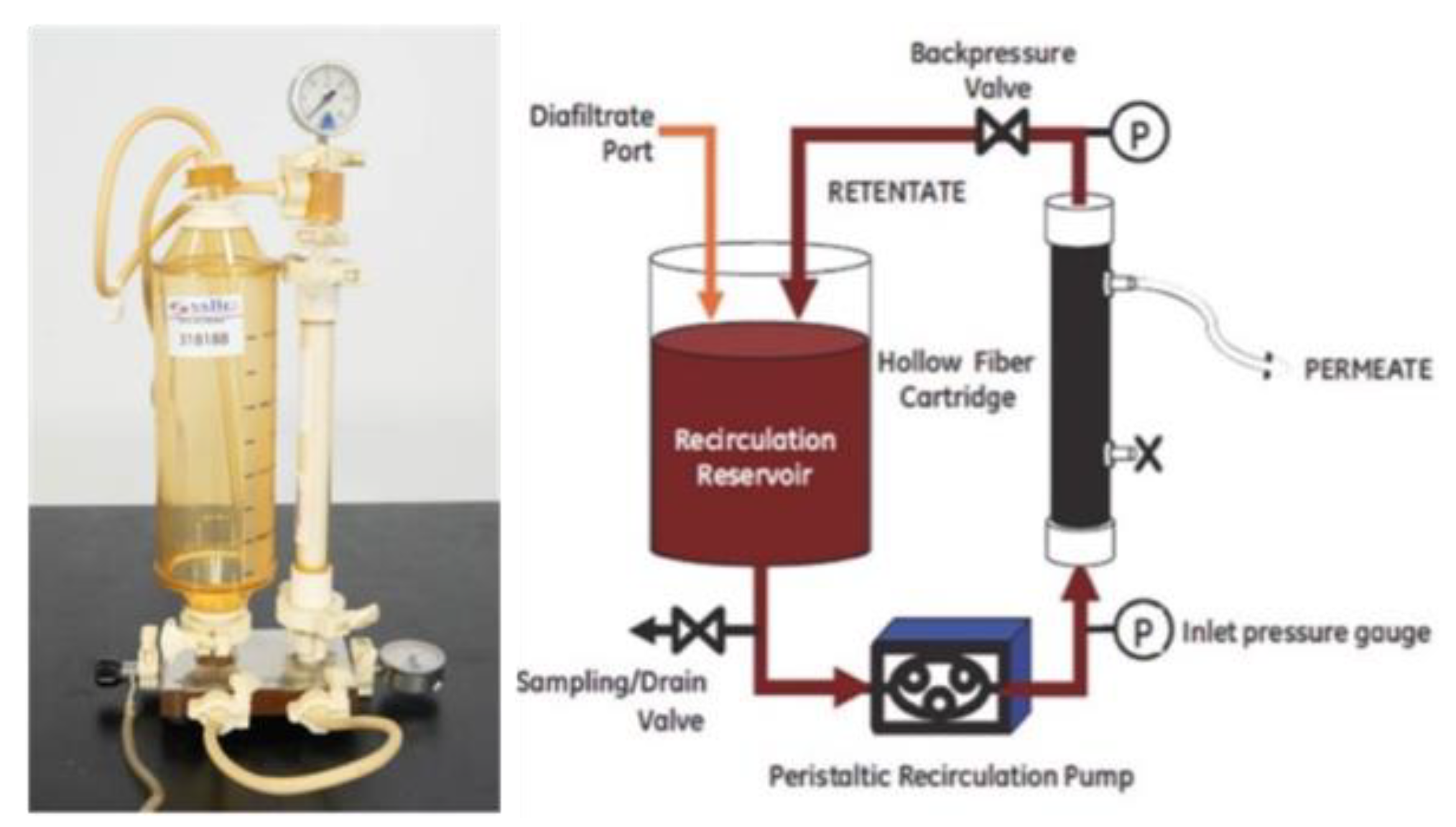 Molecules 28 01559 g004
