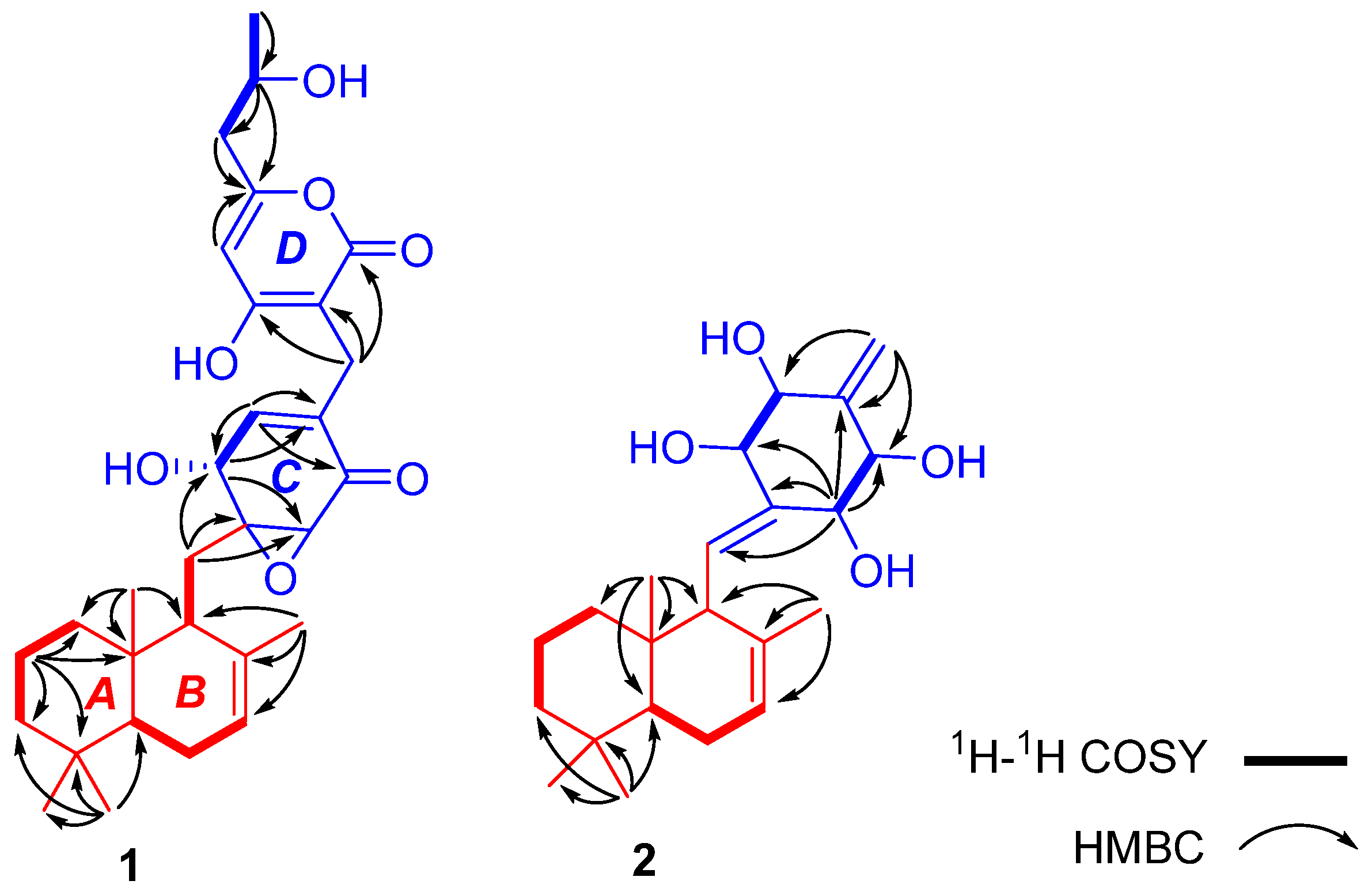 Molecules 28 01564 g002