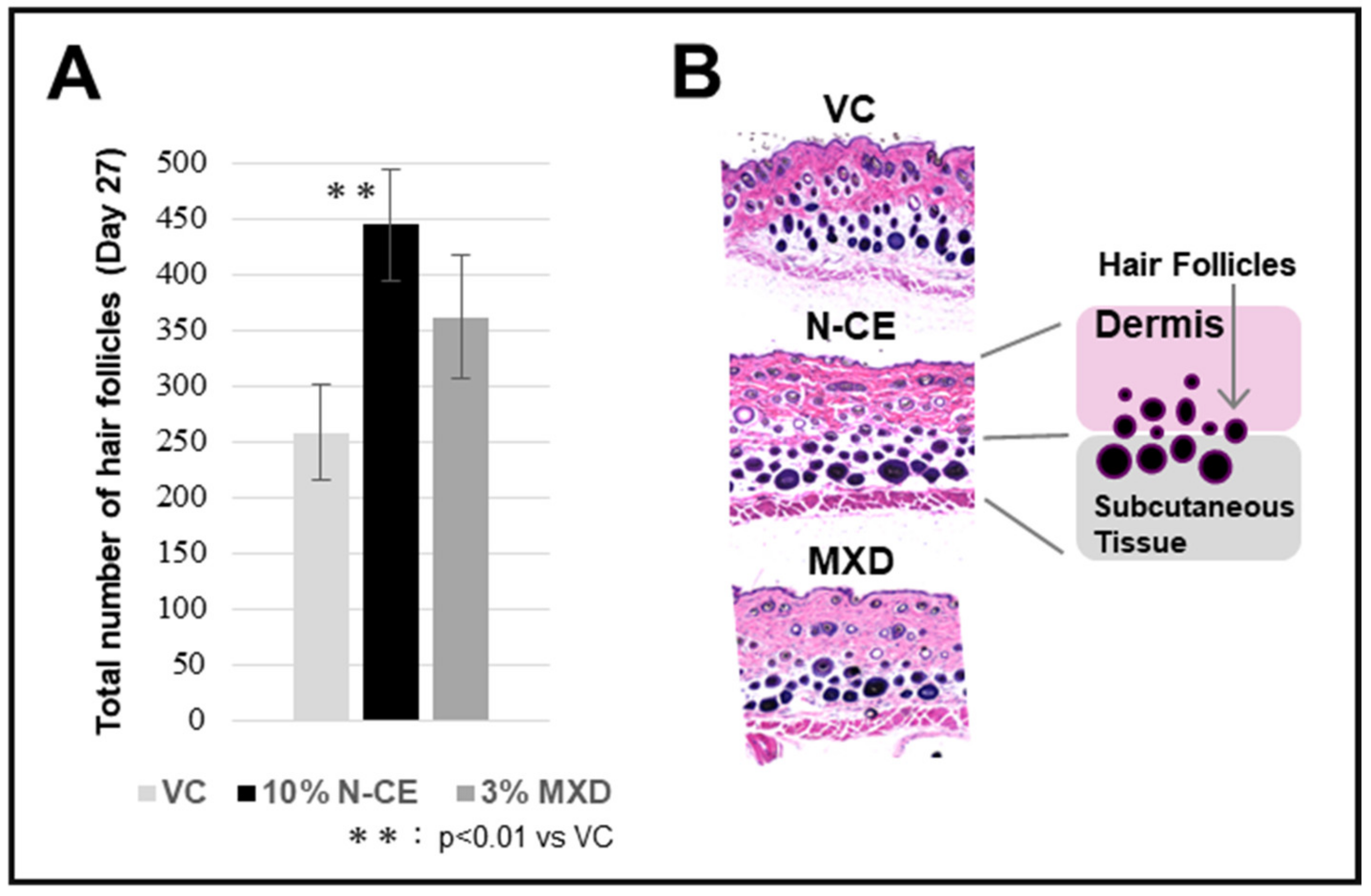 Molecules 28 01565 g002 Molecules 28 01565 g002