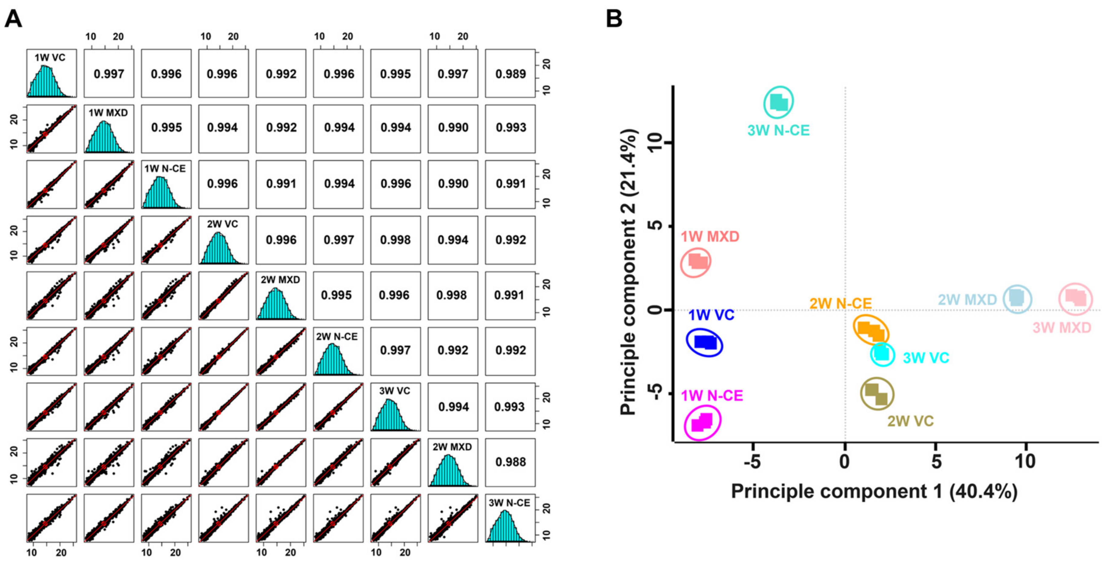 Molecules 28 01565 g005 Molecules 28 01565 g005