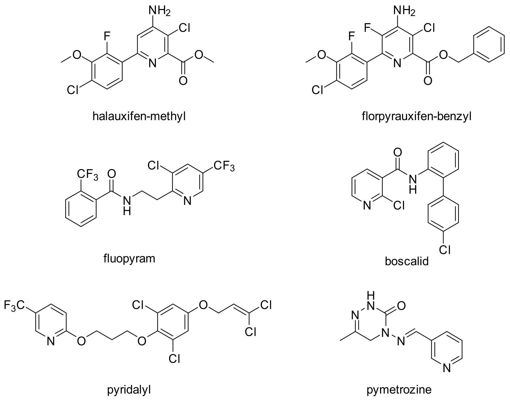 Molecules 28 01567 g001