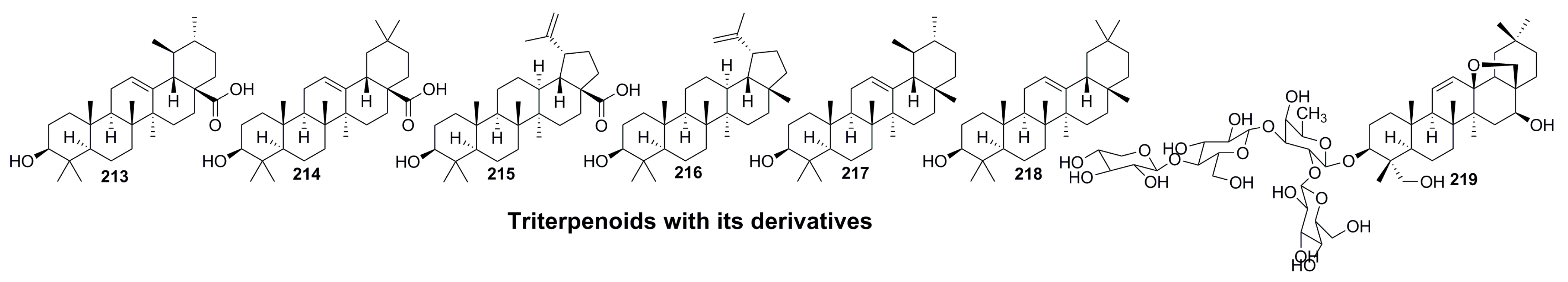 Molecules 28 01571 g004b