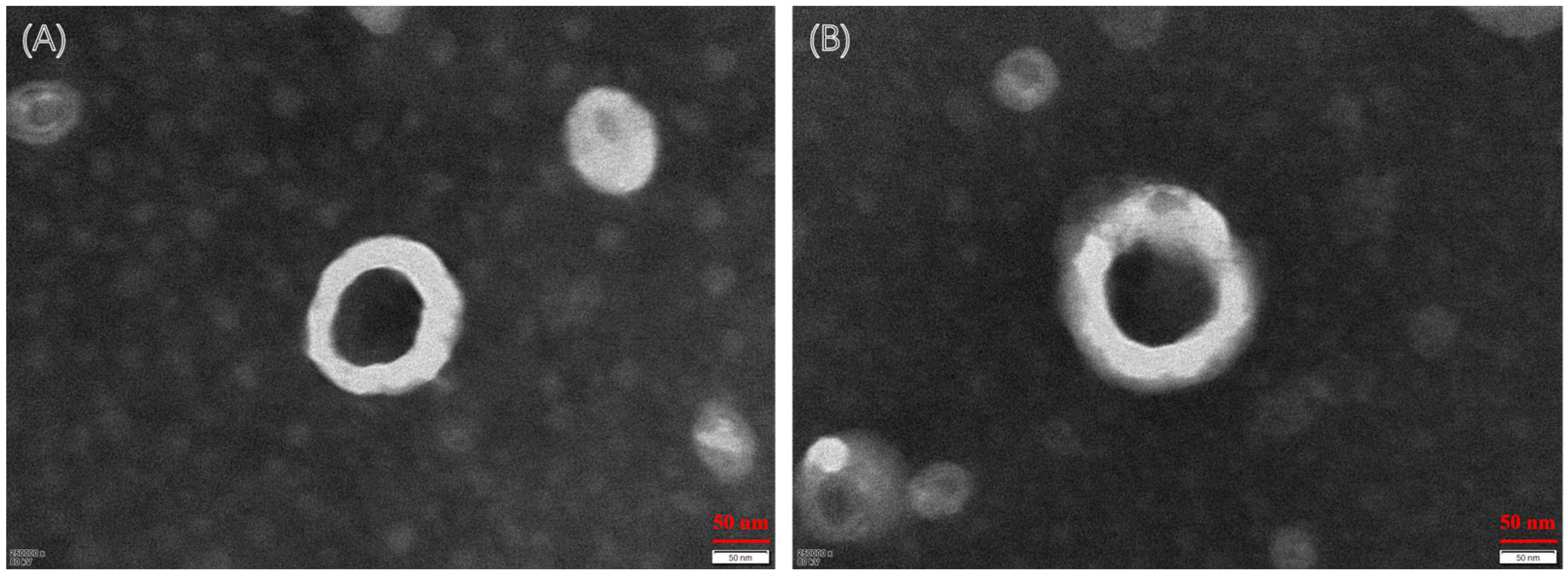 Molecules 28 01577 g002