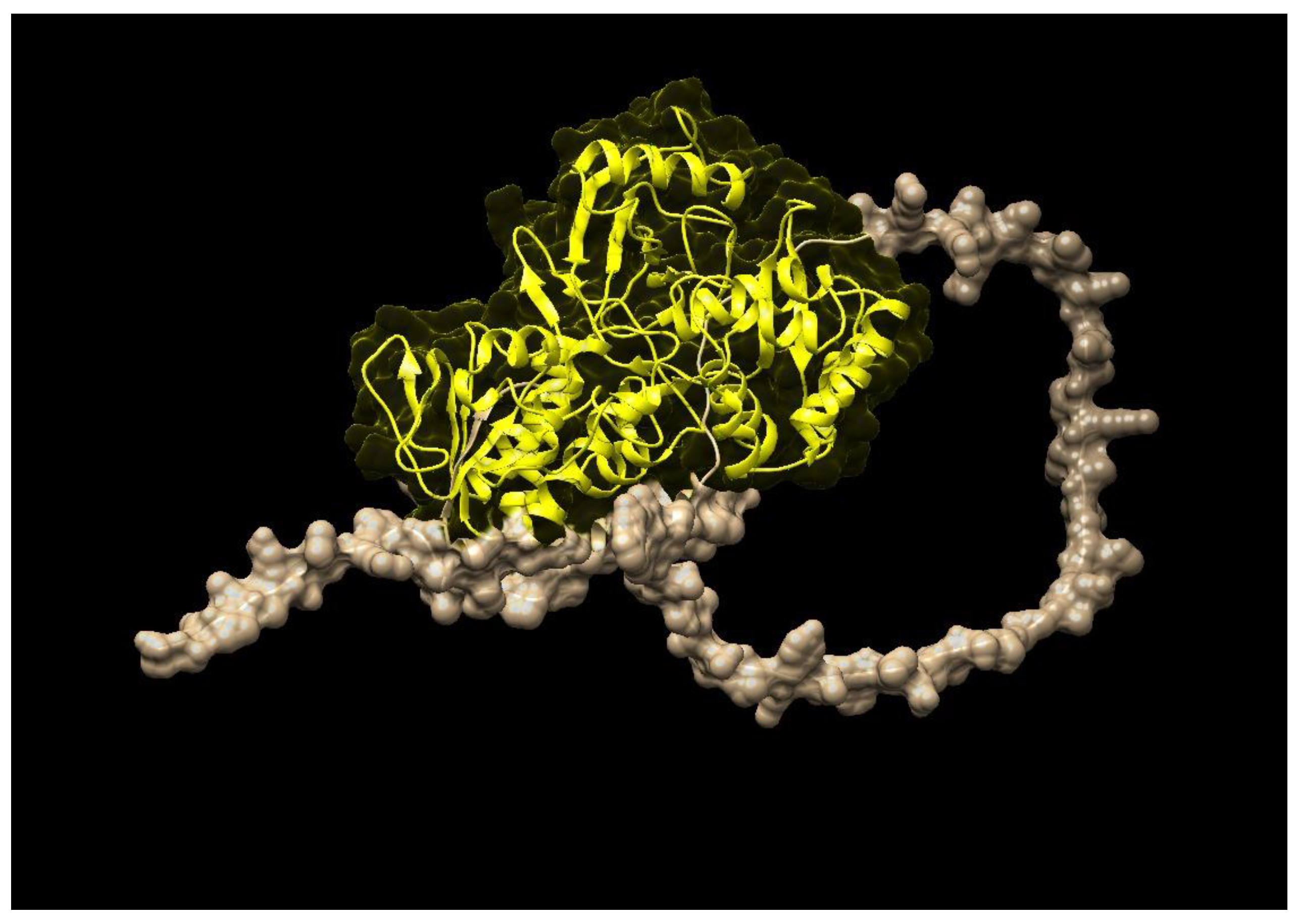 Molecules 28 01578 g003 Molecules 28 01578 g003
