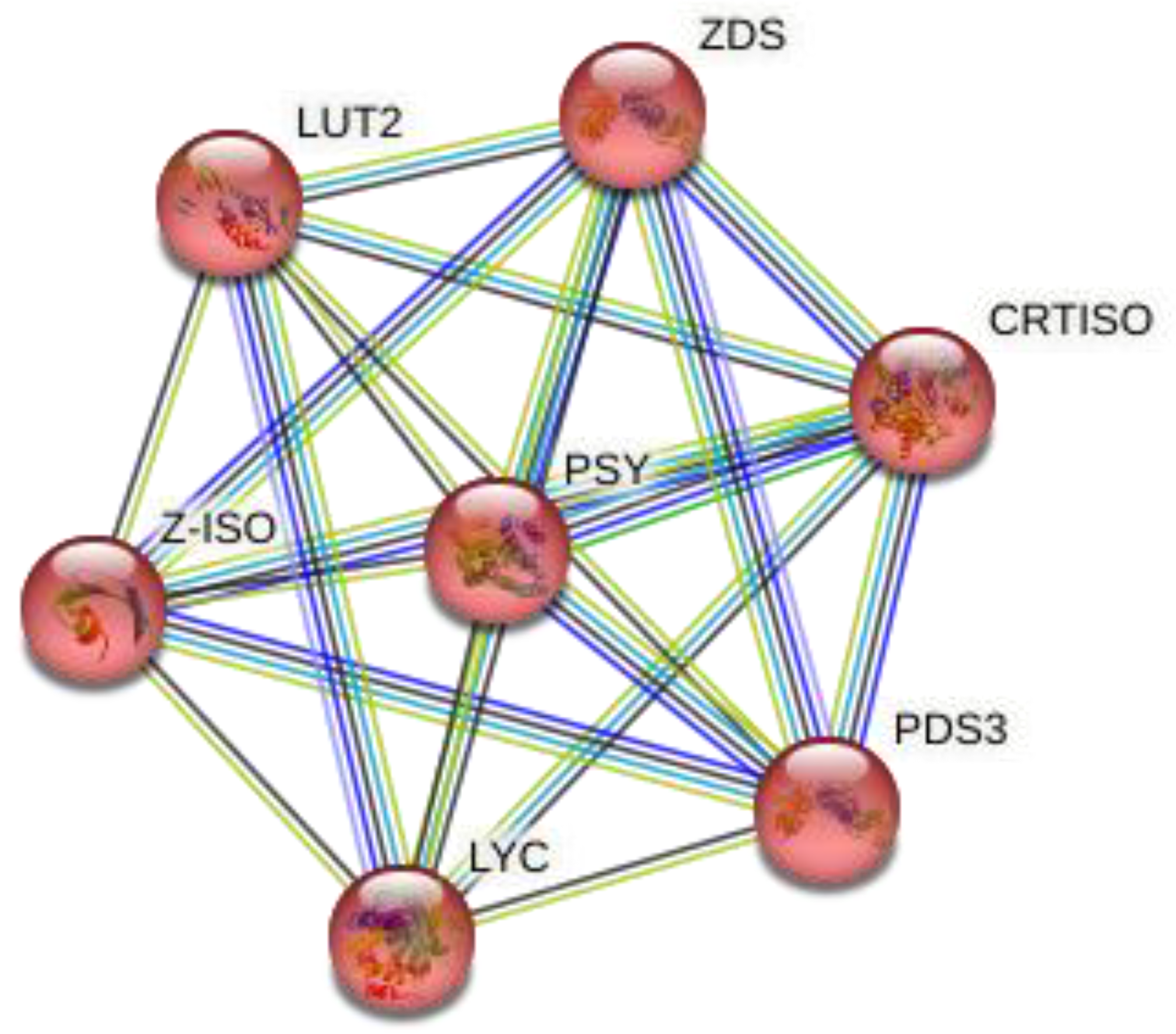 Molecules 28 01578 g004 Molecules 28 01578 g004