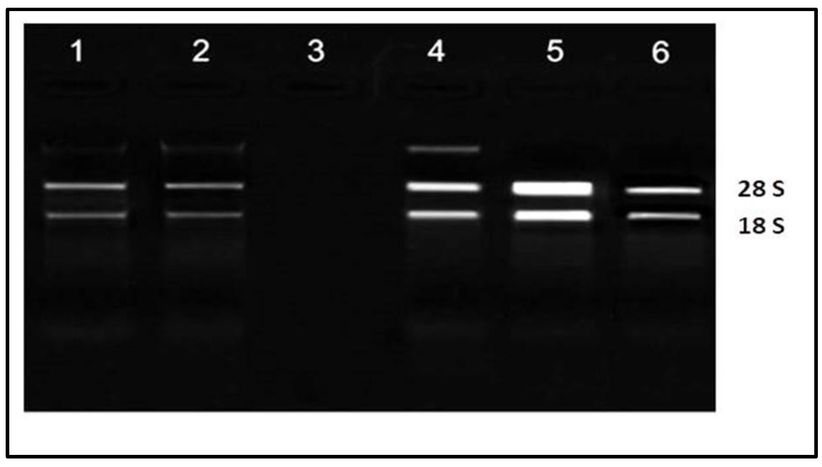 Molecules 28 01578 g005 Molecules 28 01578 g005