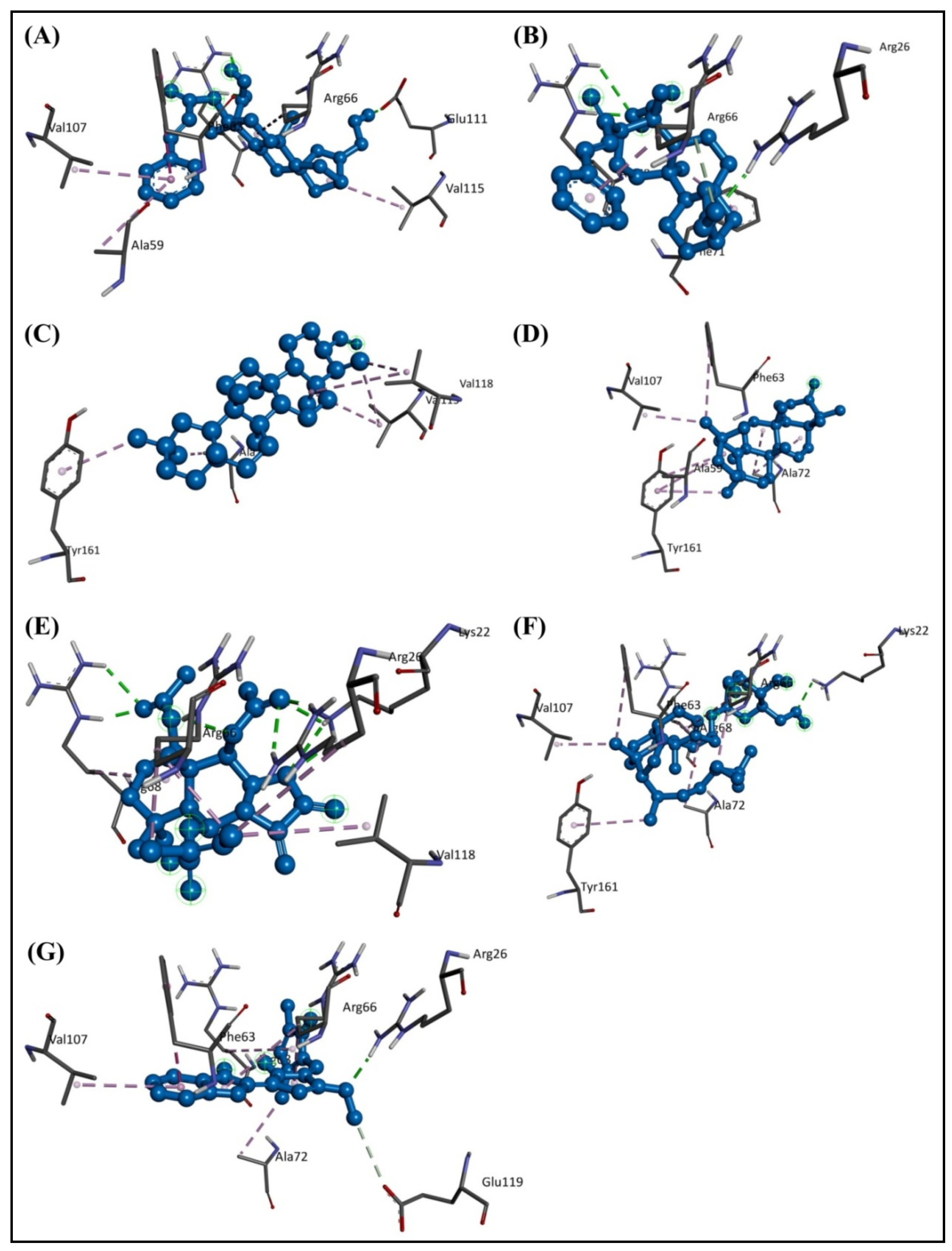 Molecules 28 01588 g004