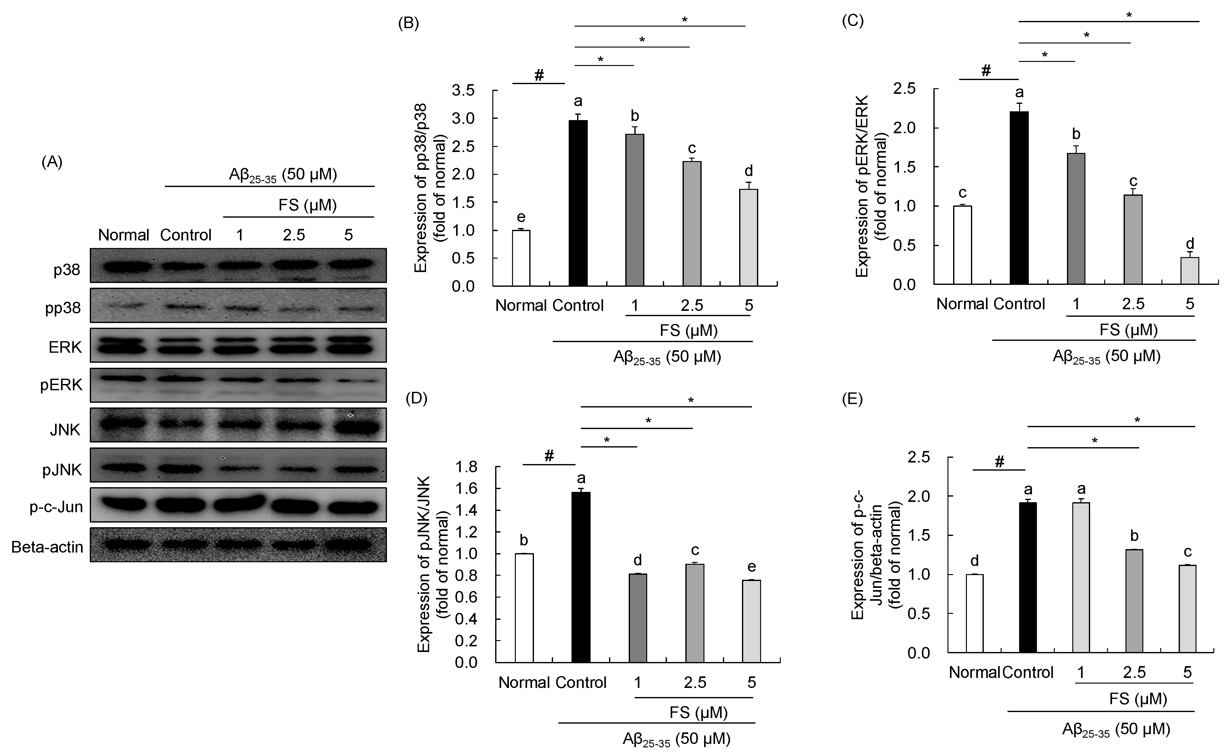 Molecules 28 01610 g006