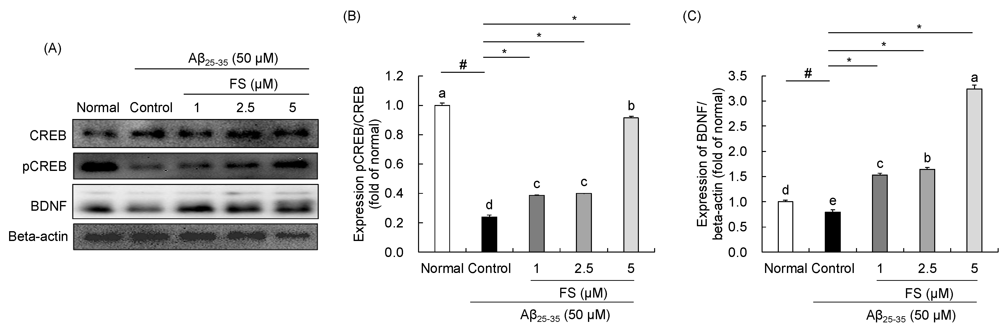 Molecules 28 01610 g007