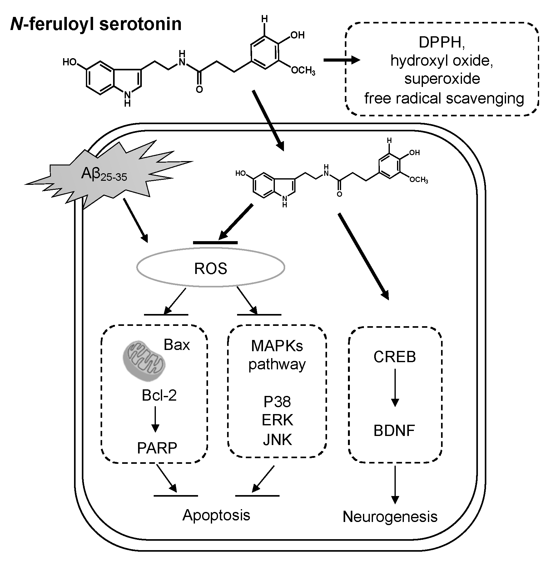 Molecules 28 01610 g008