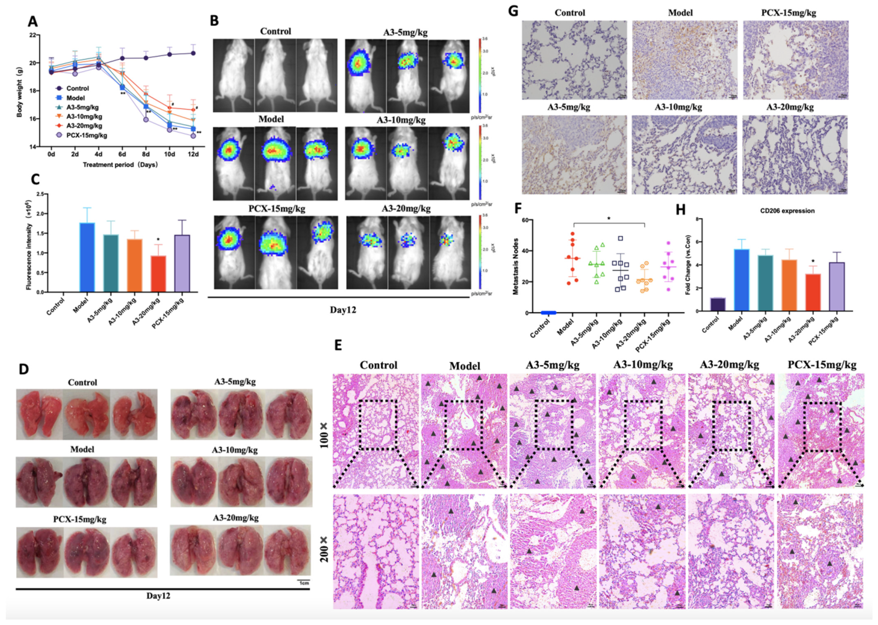 Molecules 28 01611 g001