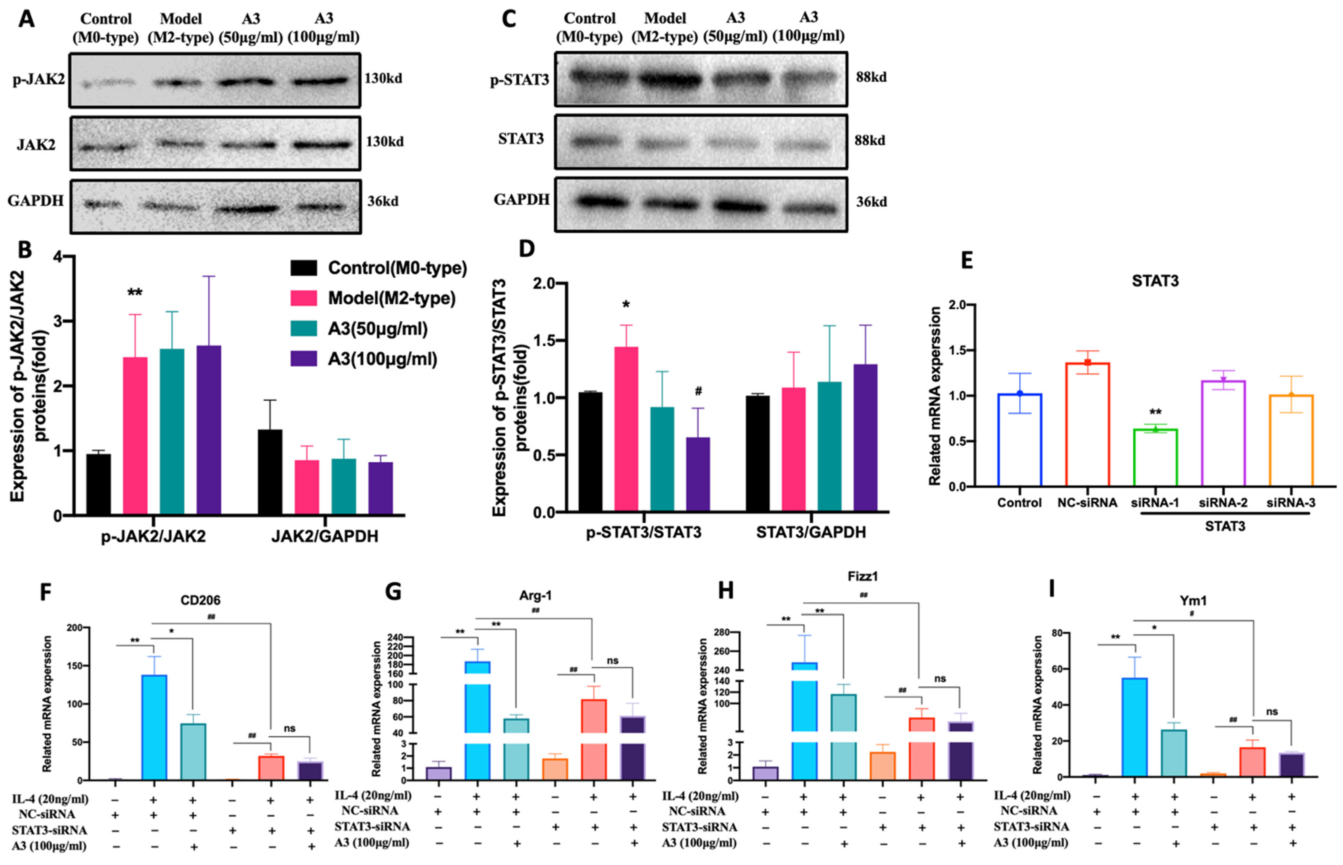 Molecules 28 01611 g004