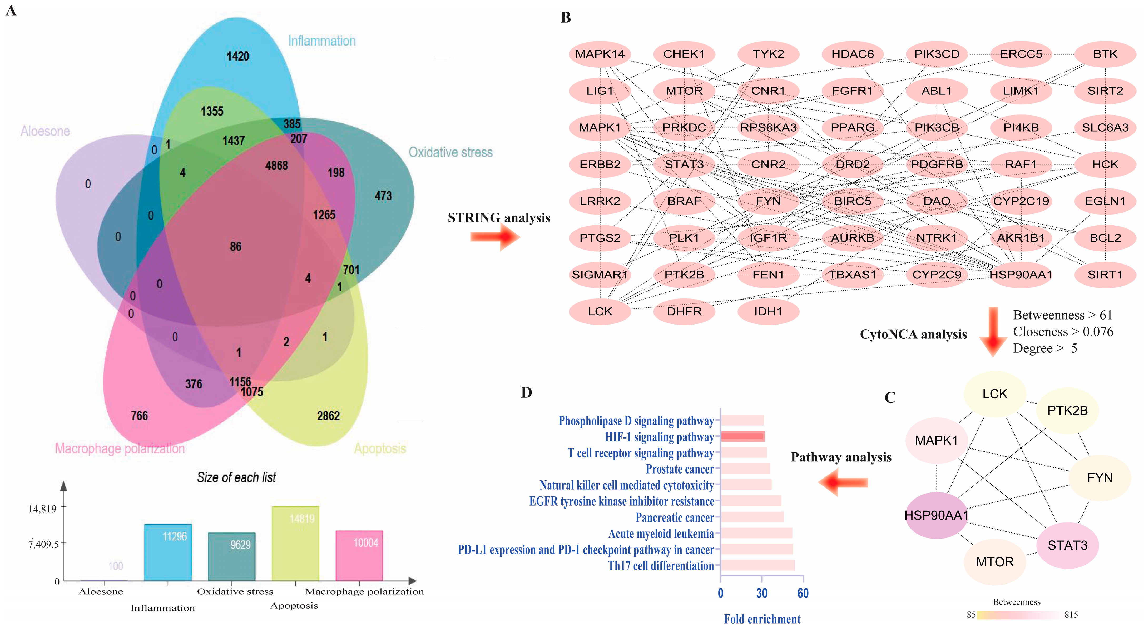 Molecules 28 01617 g005 Molecules 28 01617 g005