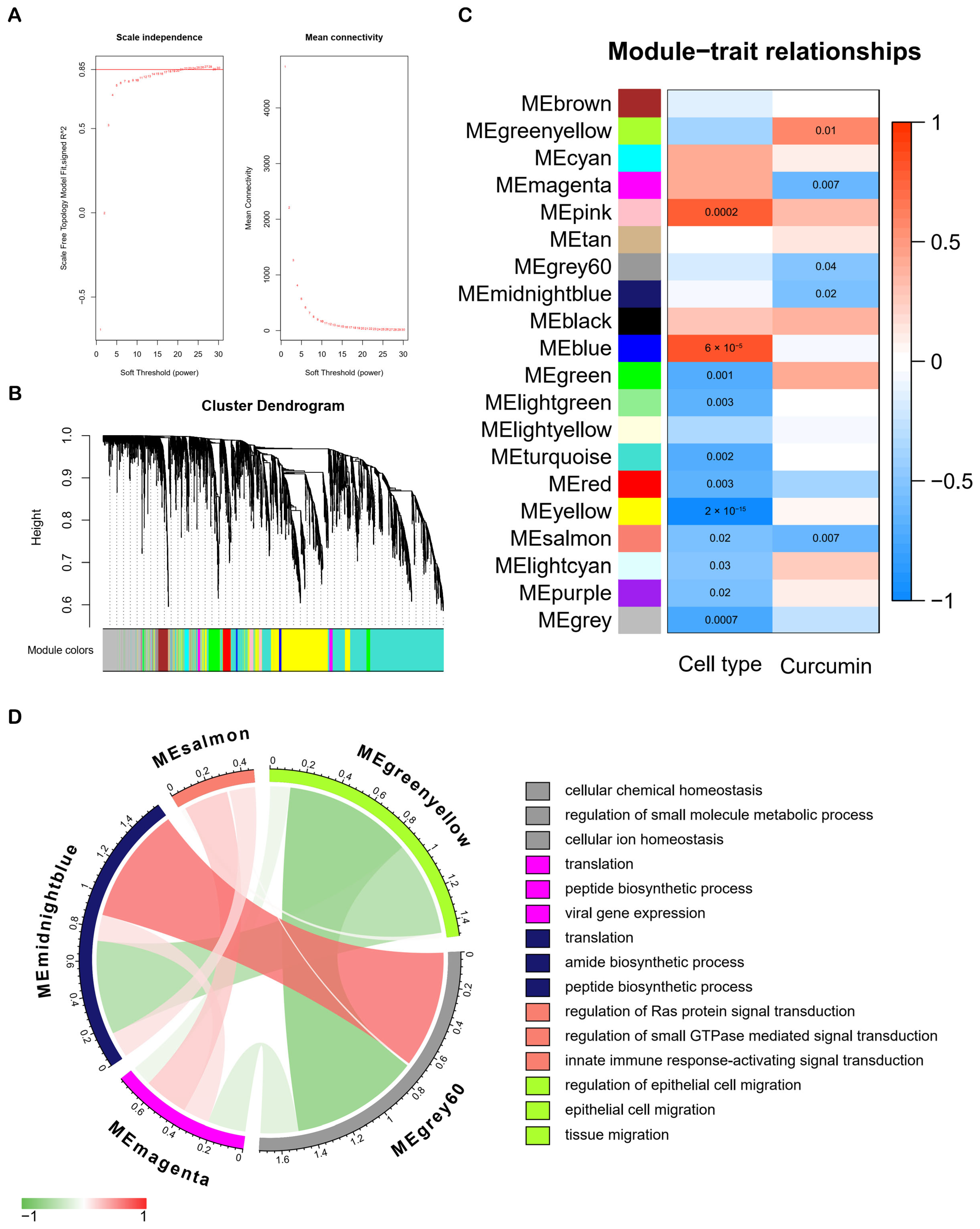 Molecules 28 01623 g003