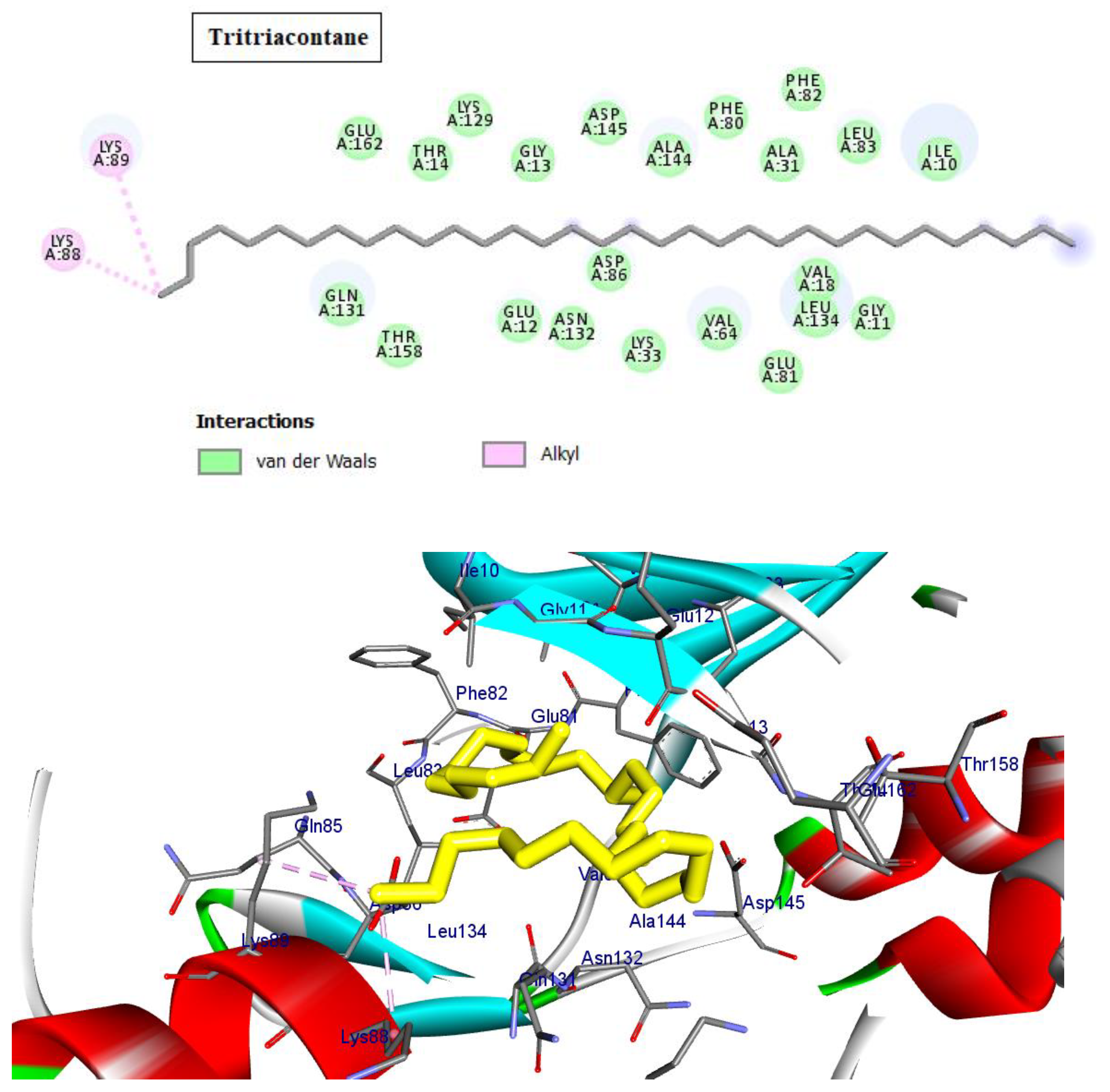Molecules 28 01628 g002