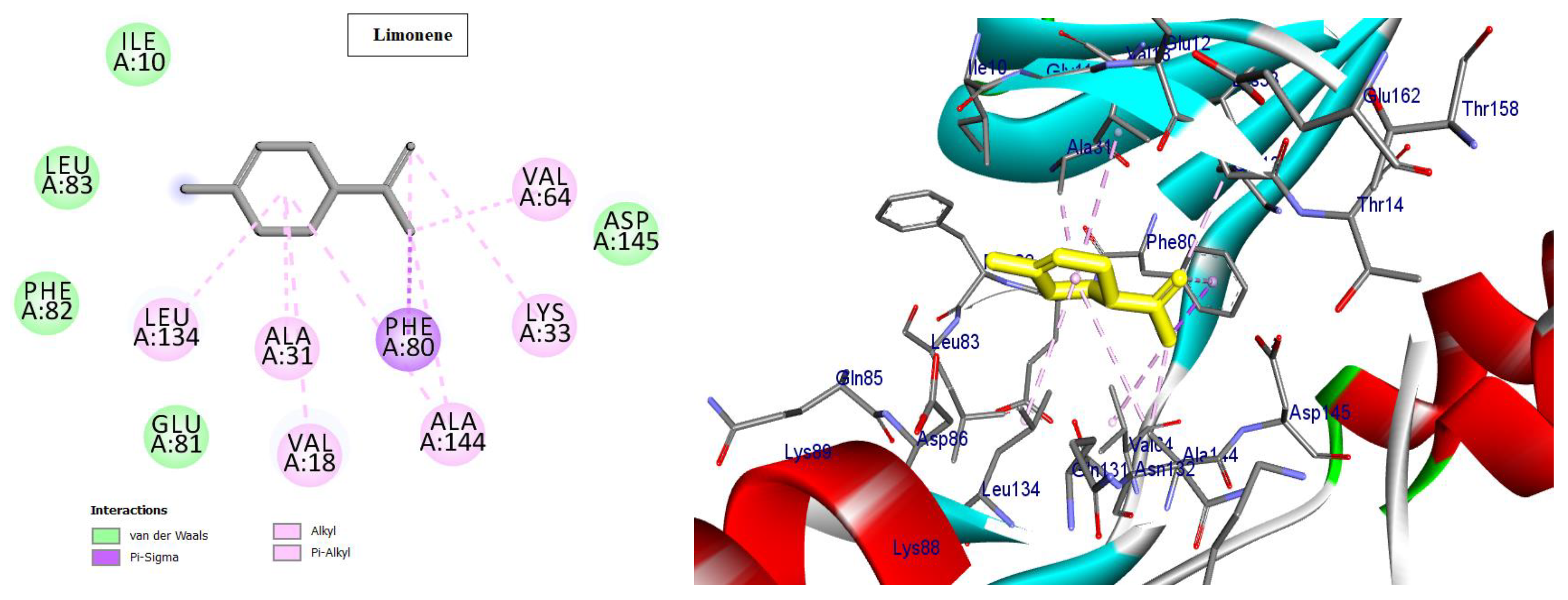 Molecules 28 01628 g003