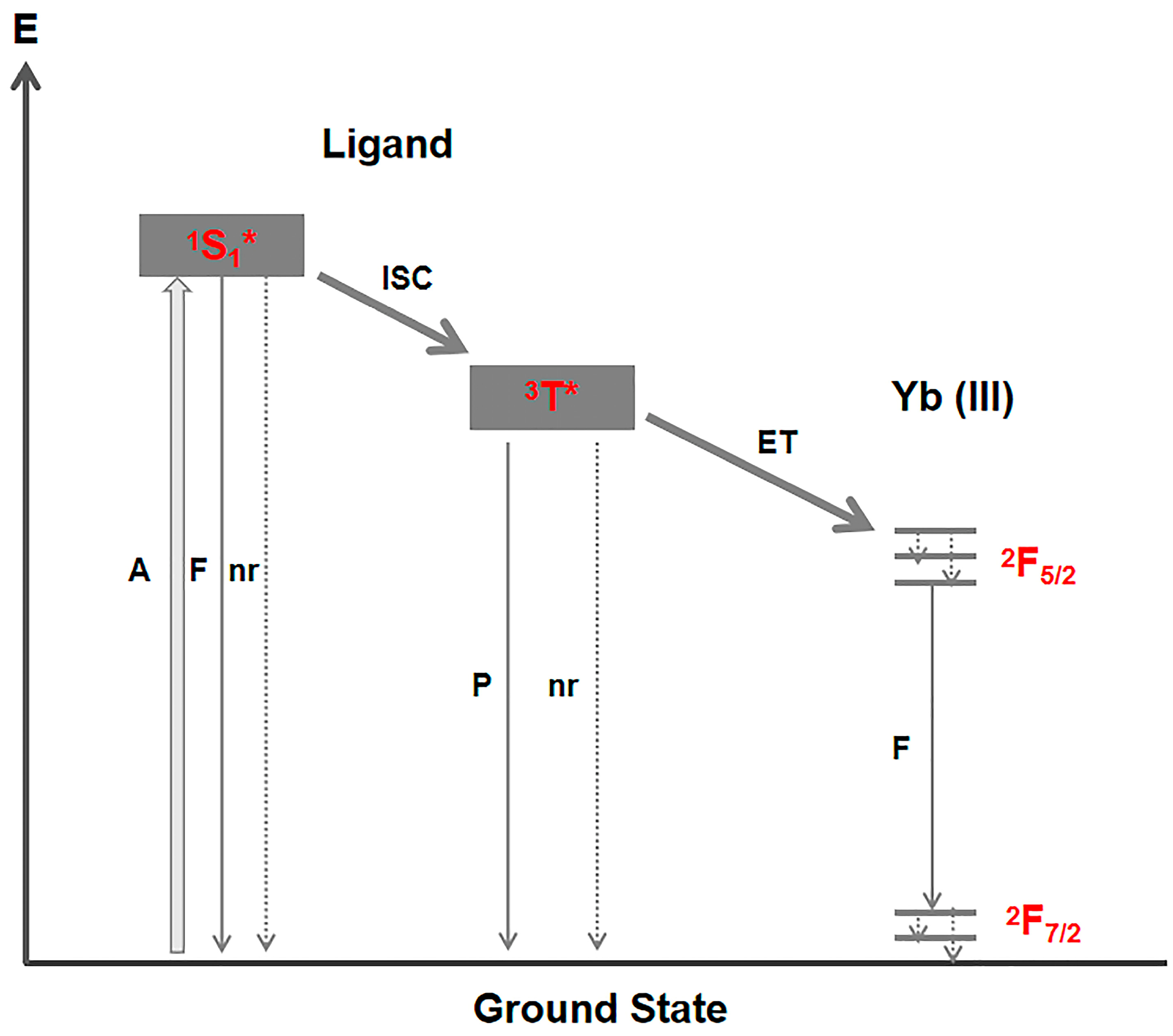 Molecules 28 01632 g005