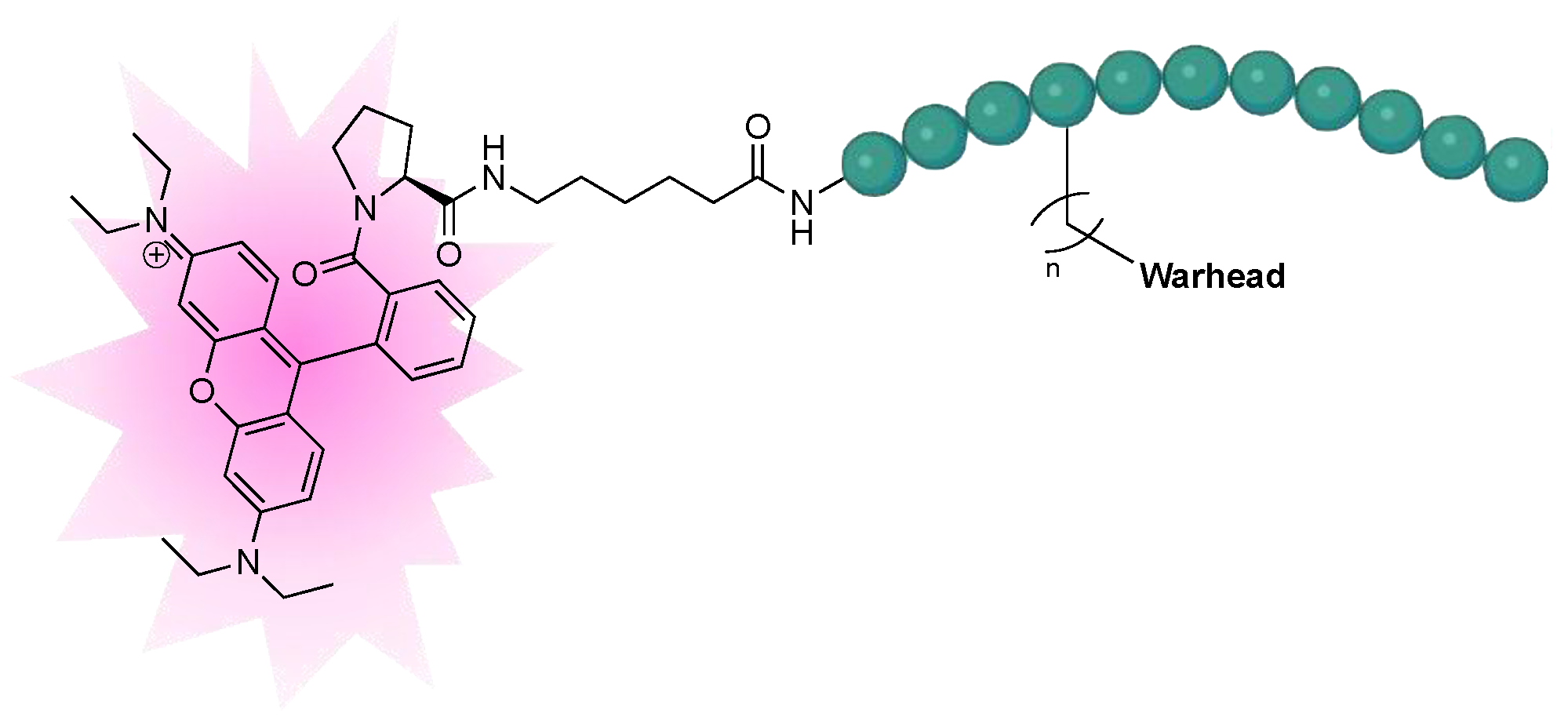 Molecules 28 01634 g004