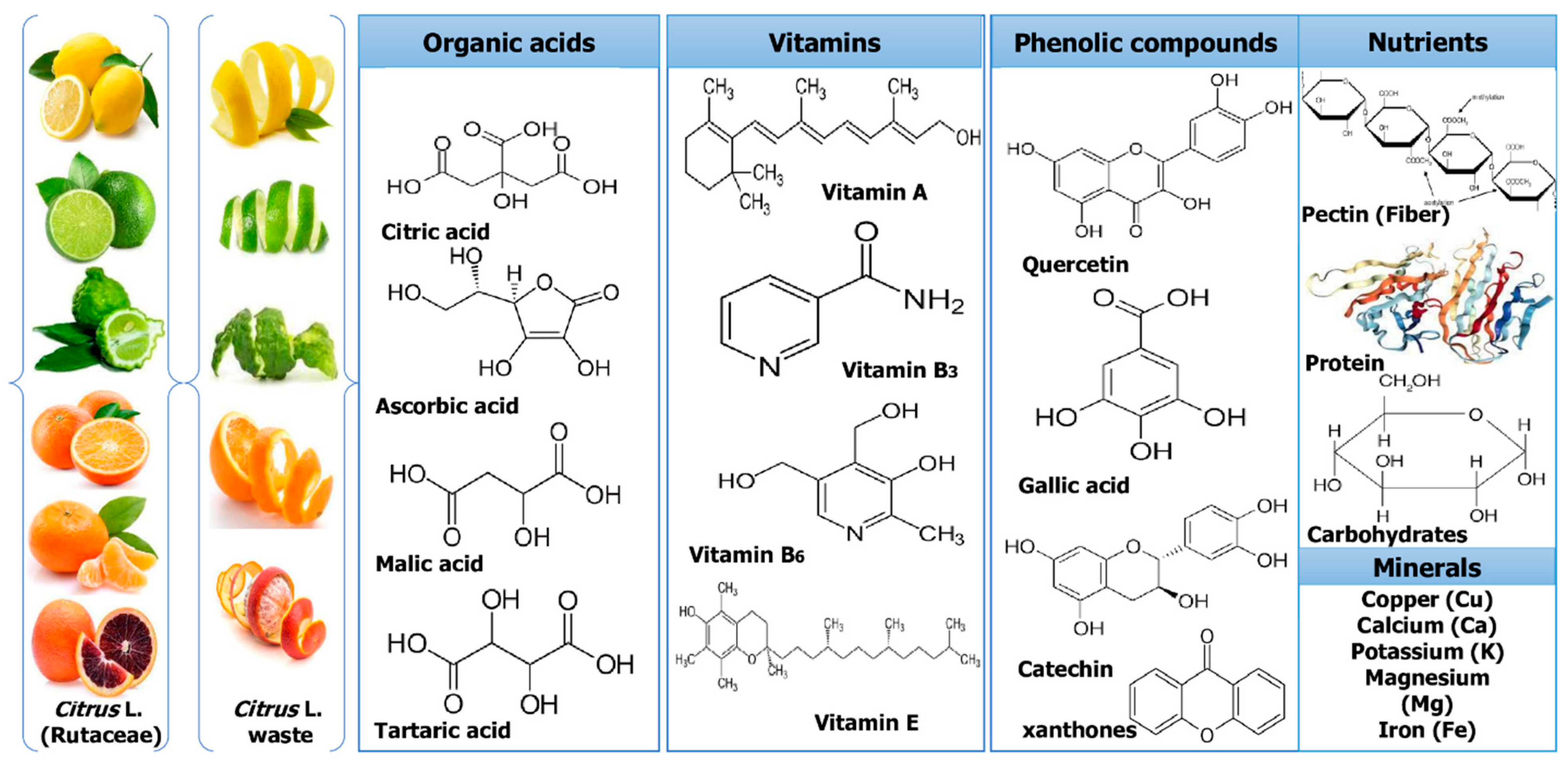 Molecules 28 01636 g002 Molecules 28 01636 g002