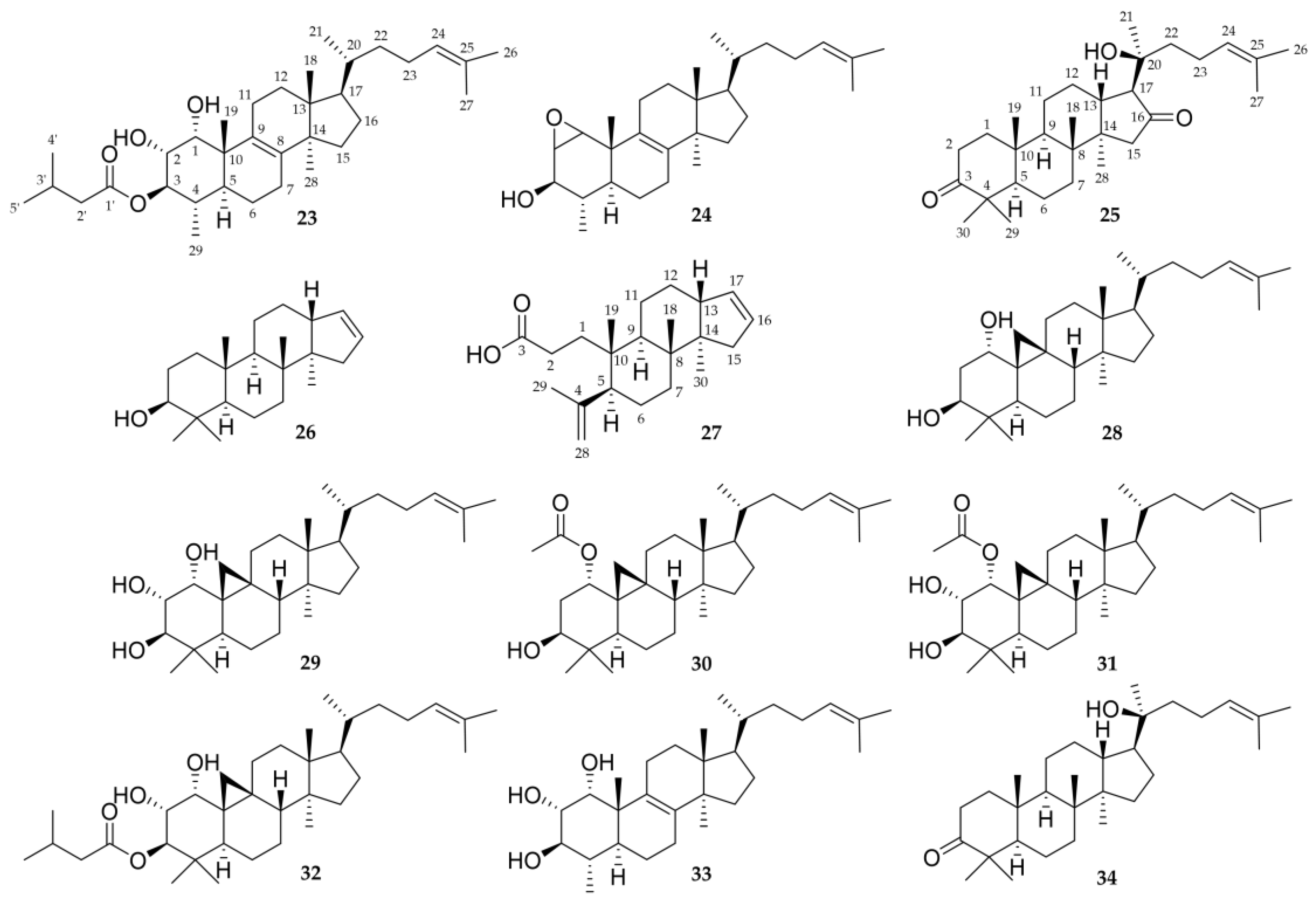Molecules 28 01637 g009