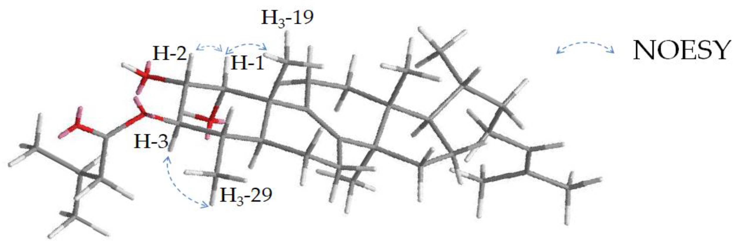 Molecules 28 01637 g010