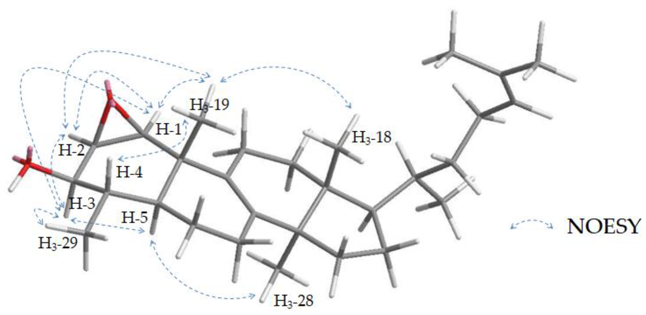 Molecules 28 01637 g011