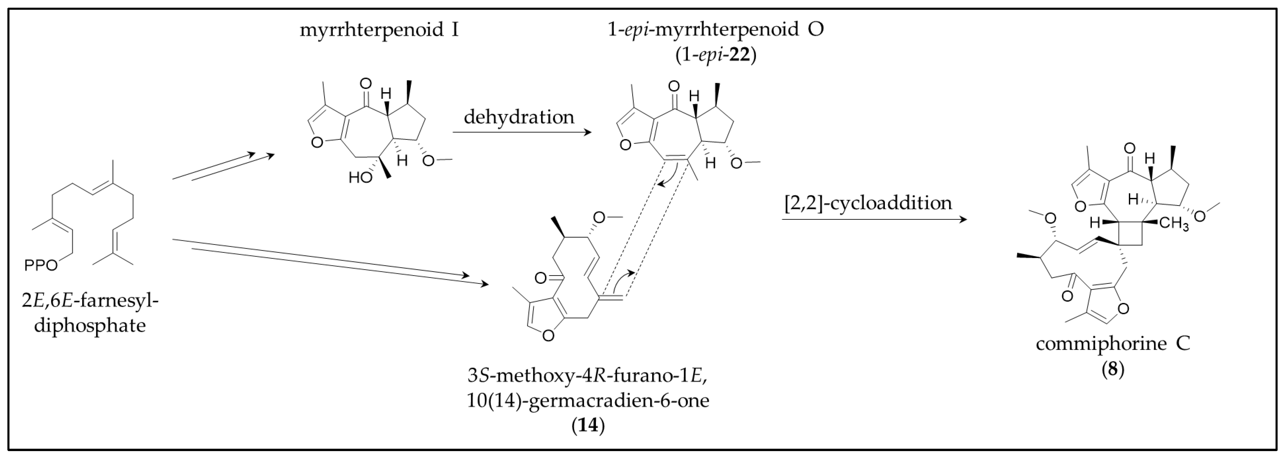 Molecules 28 01637 g014
