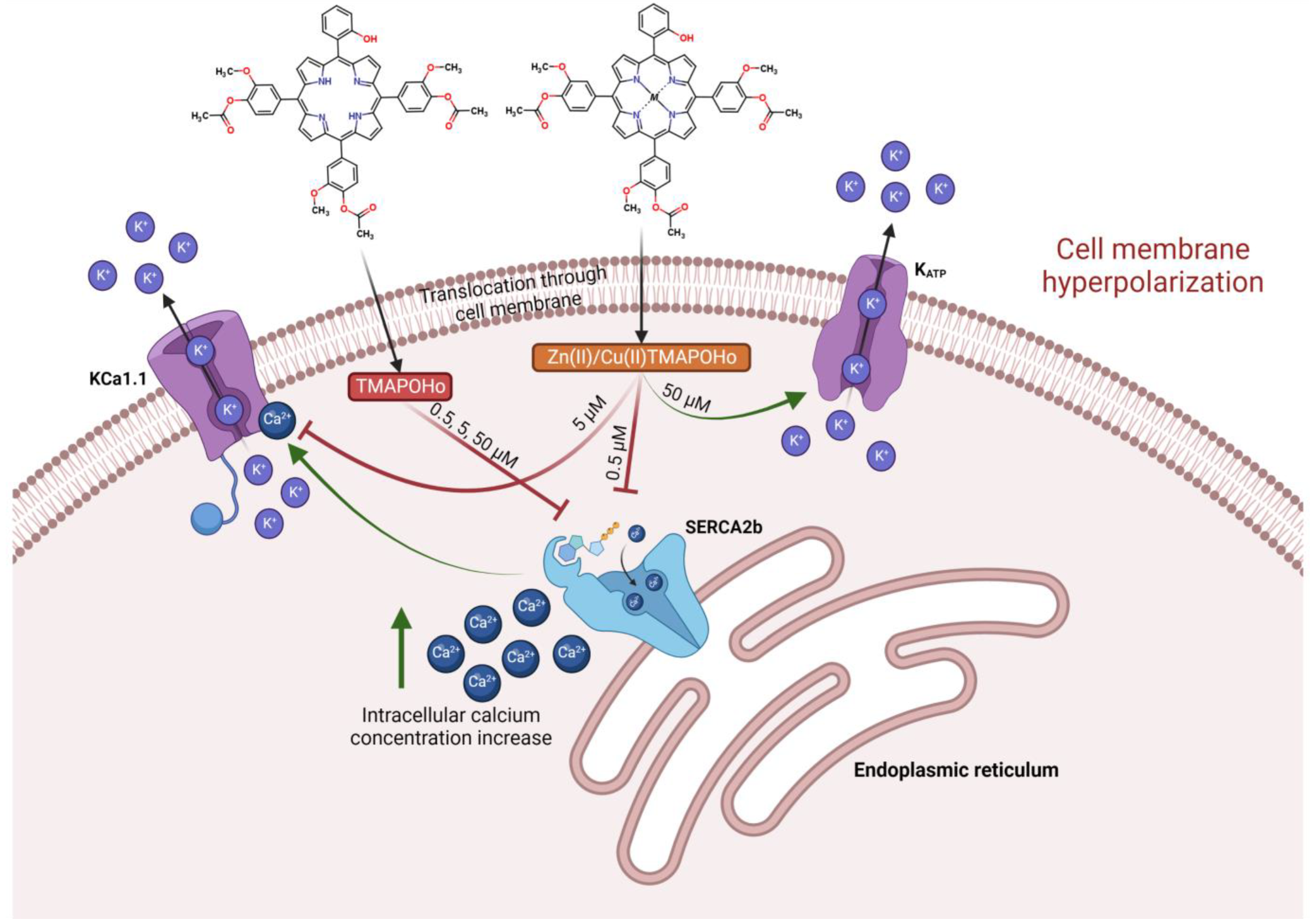 Molecules 28 01640 g013